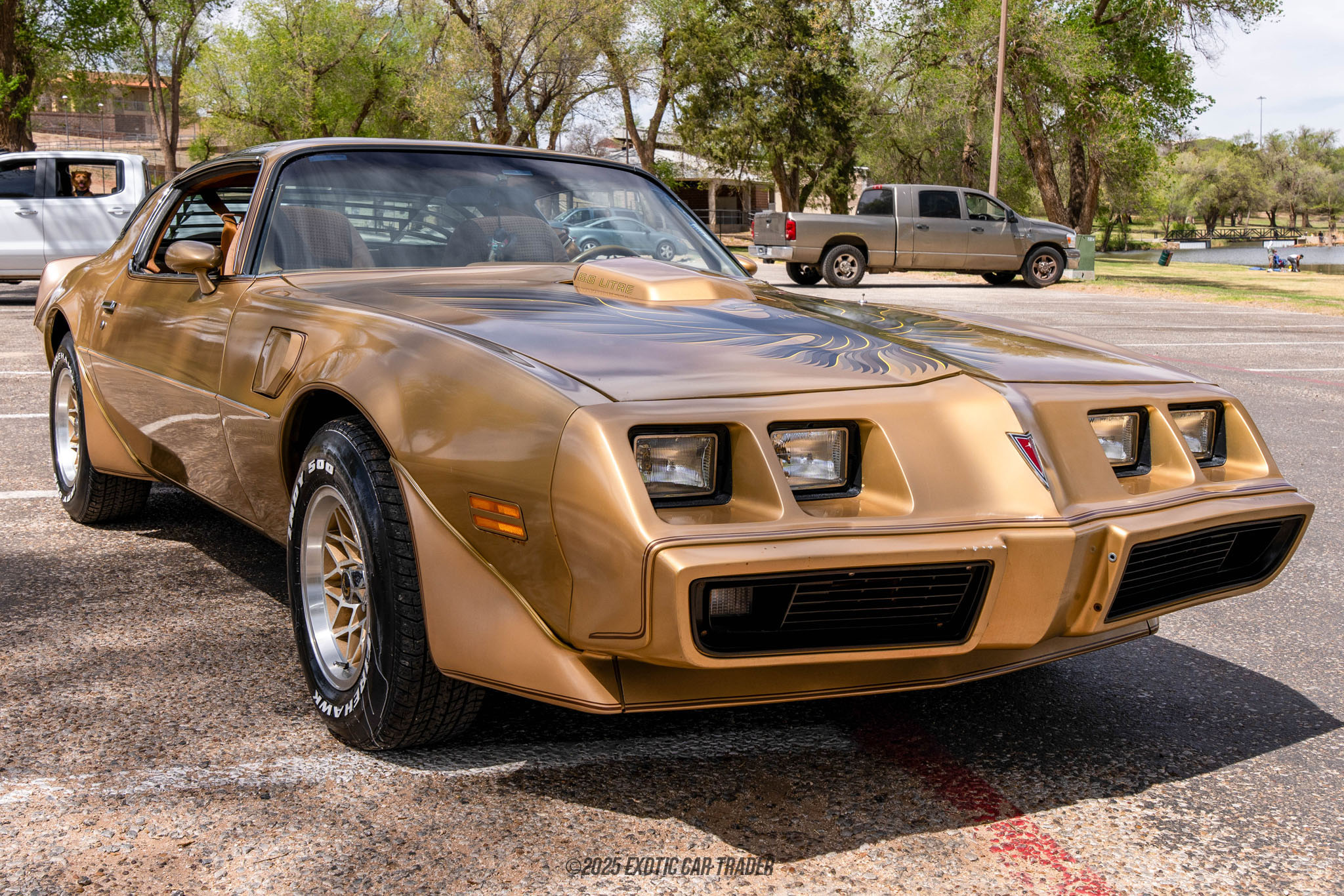 1979 Pontiac Firebird - Overview Photo