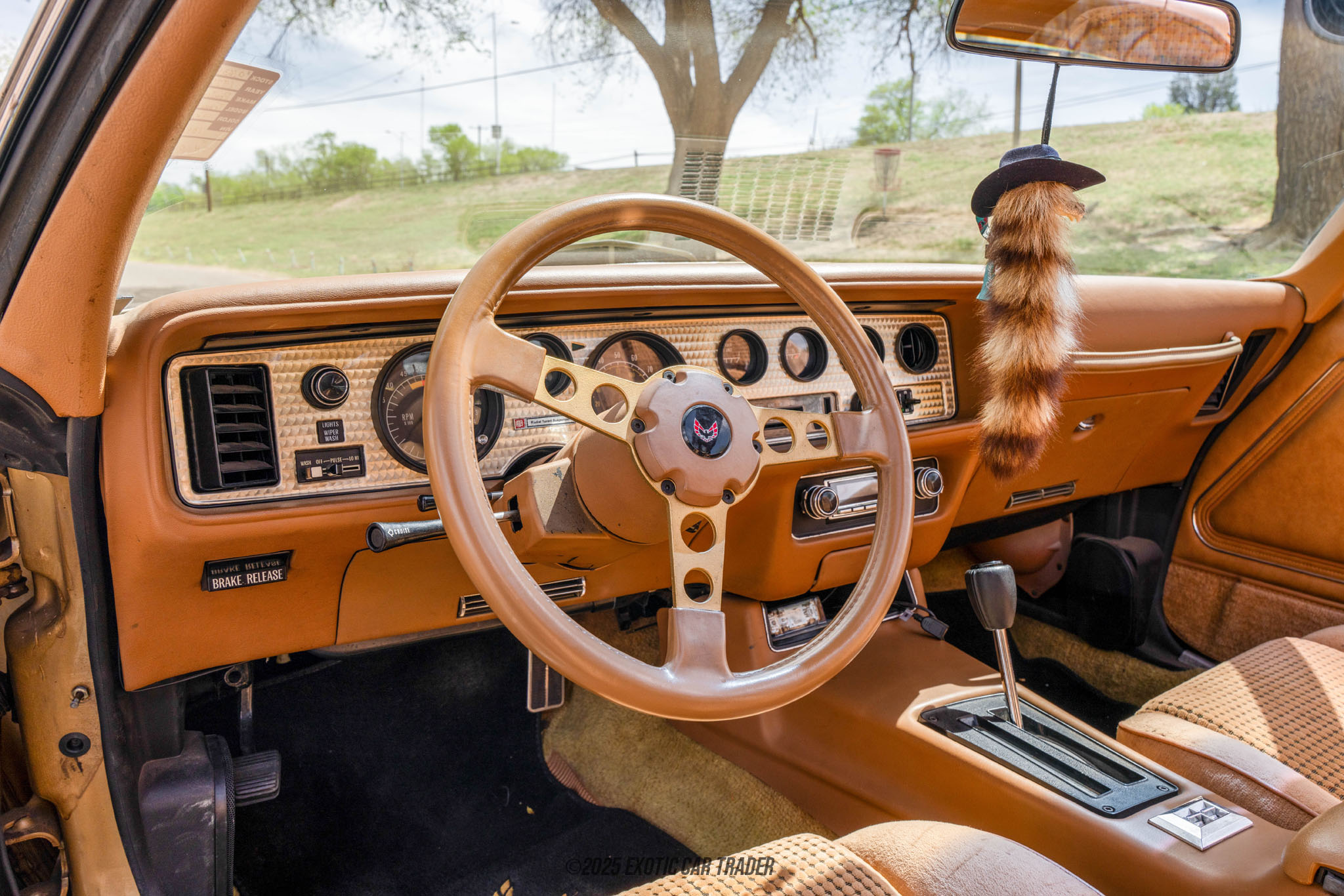 1979 Pontiac Firebird - Interior Photo