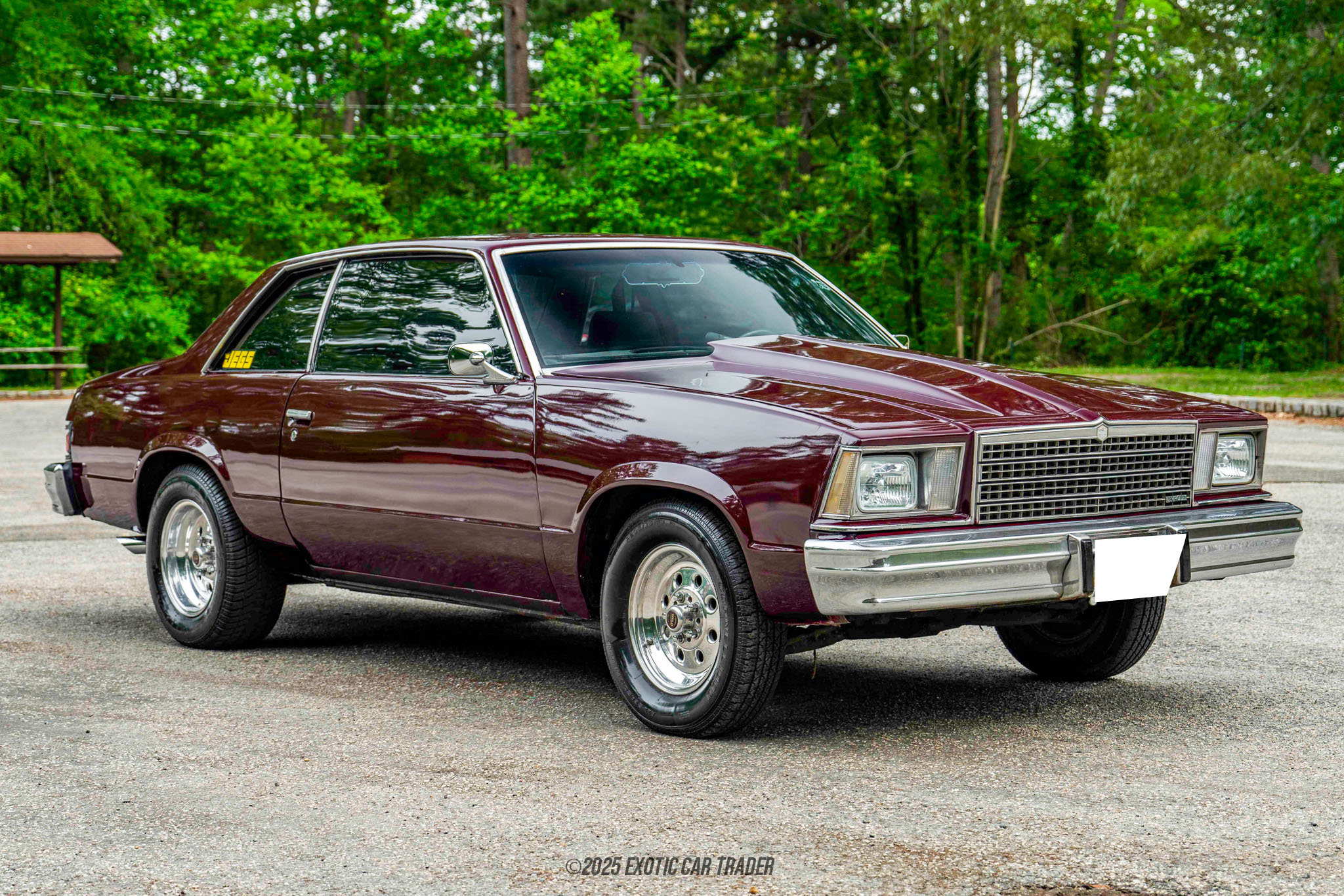 1979 Chevrolet Malibu - Overview Photo