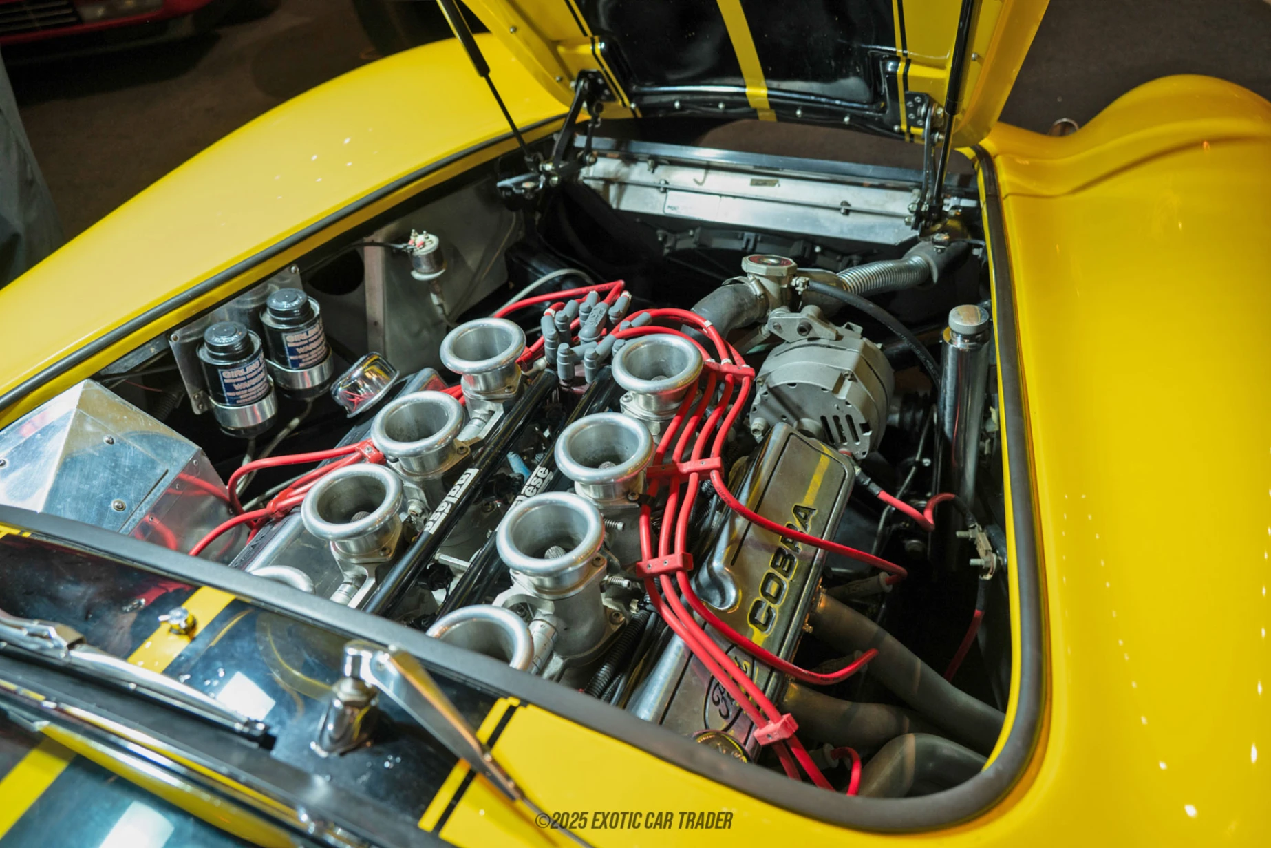 1965 Shelby Cobra - Engine Photo