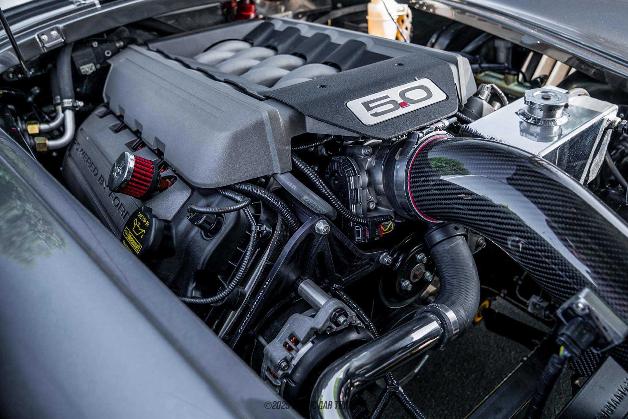 1965 Shelby Cobra - Engine Photo