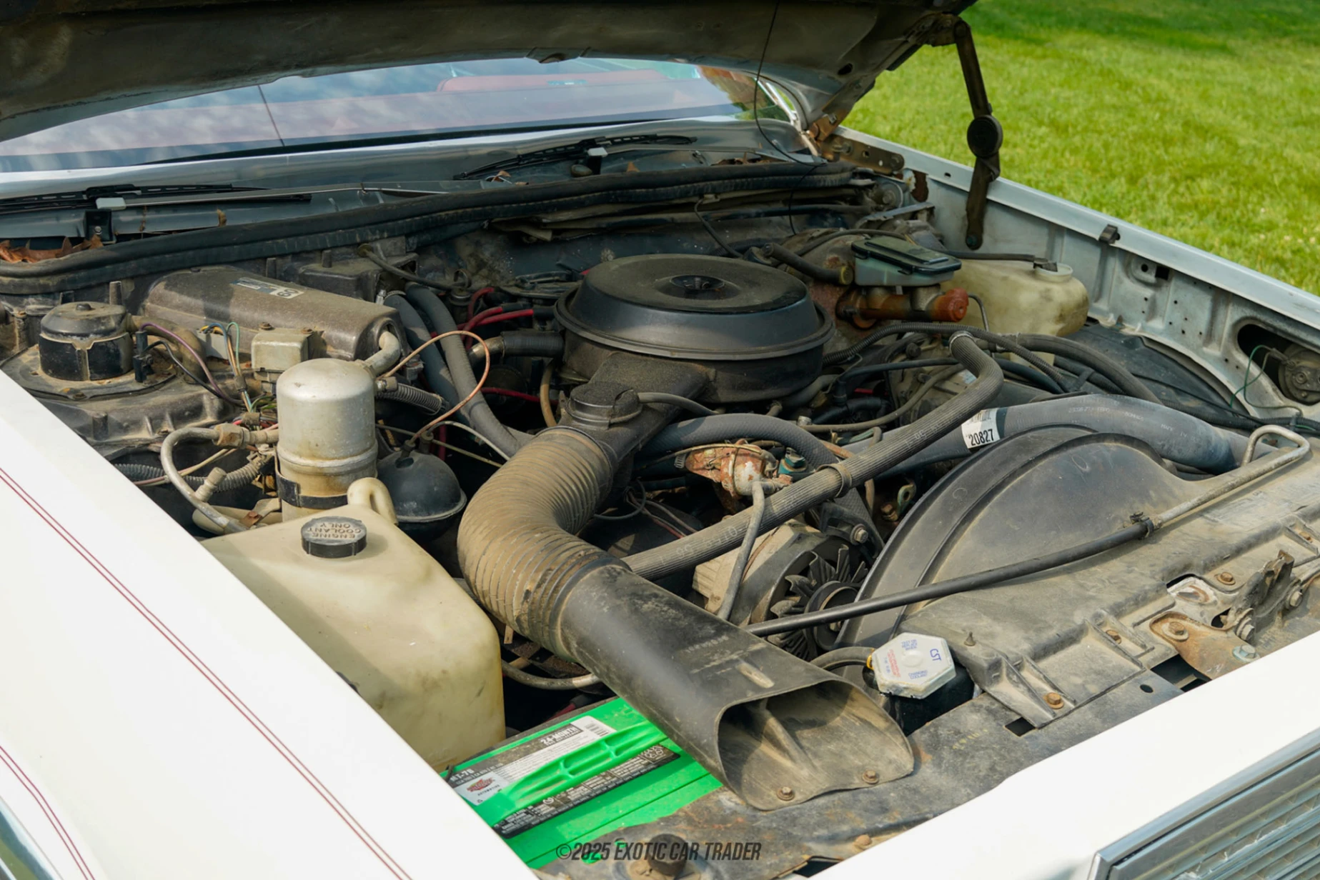 1979 Chevrolet El Camino - Engine Photo