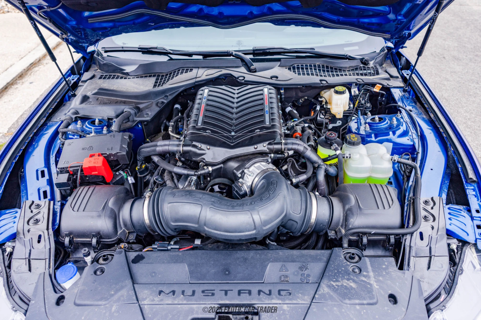 2024 Ford Mustang - Engine Photo