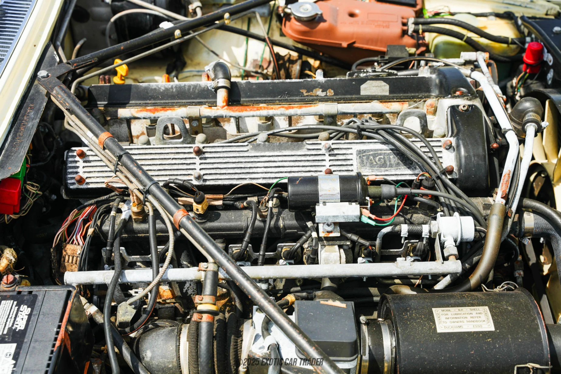 1987 Jaguar XJ6 - Engine Photo