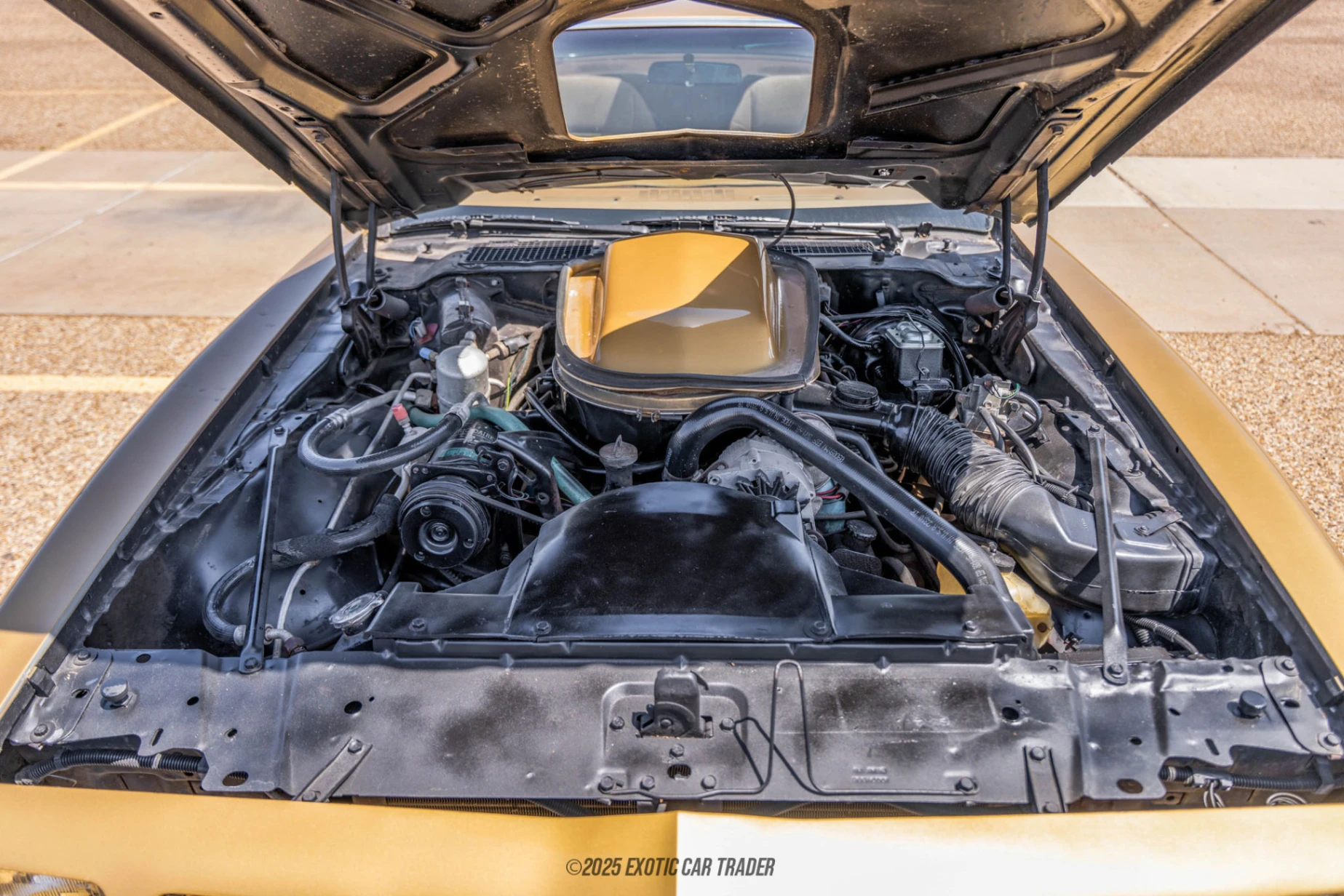 1979 Pontiac Firebird - Engine Photo