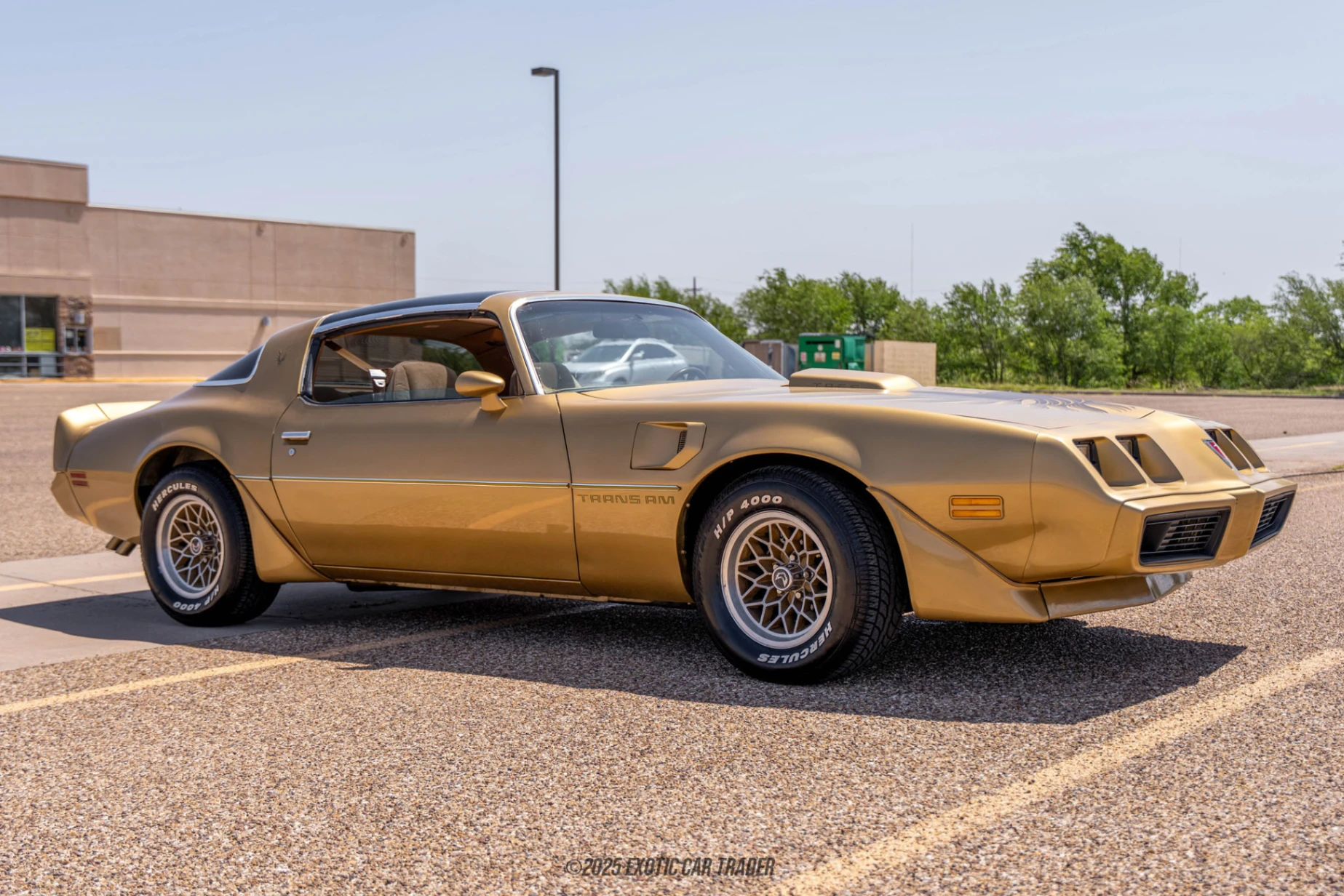 1979 Pontiac Firebird - Overview Photo