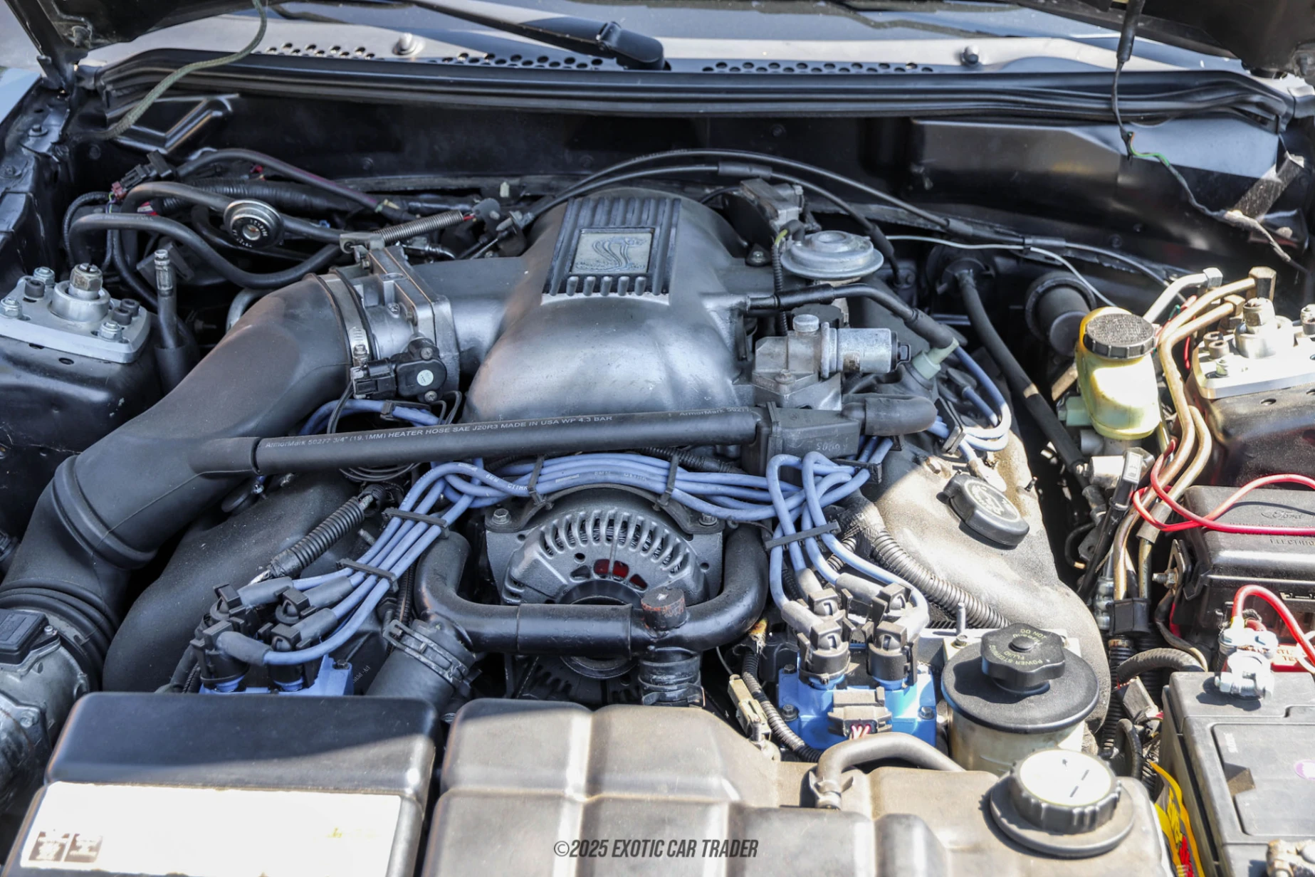 1996 Ford Mustang - Engine Photo