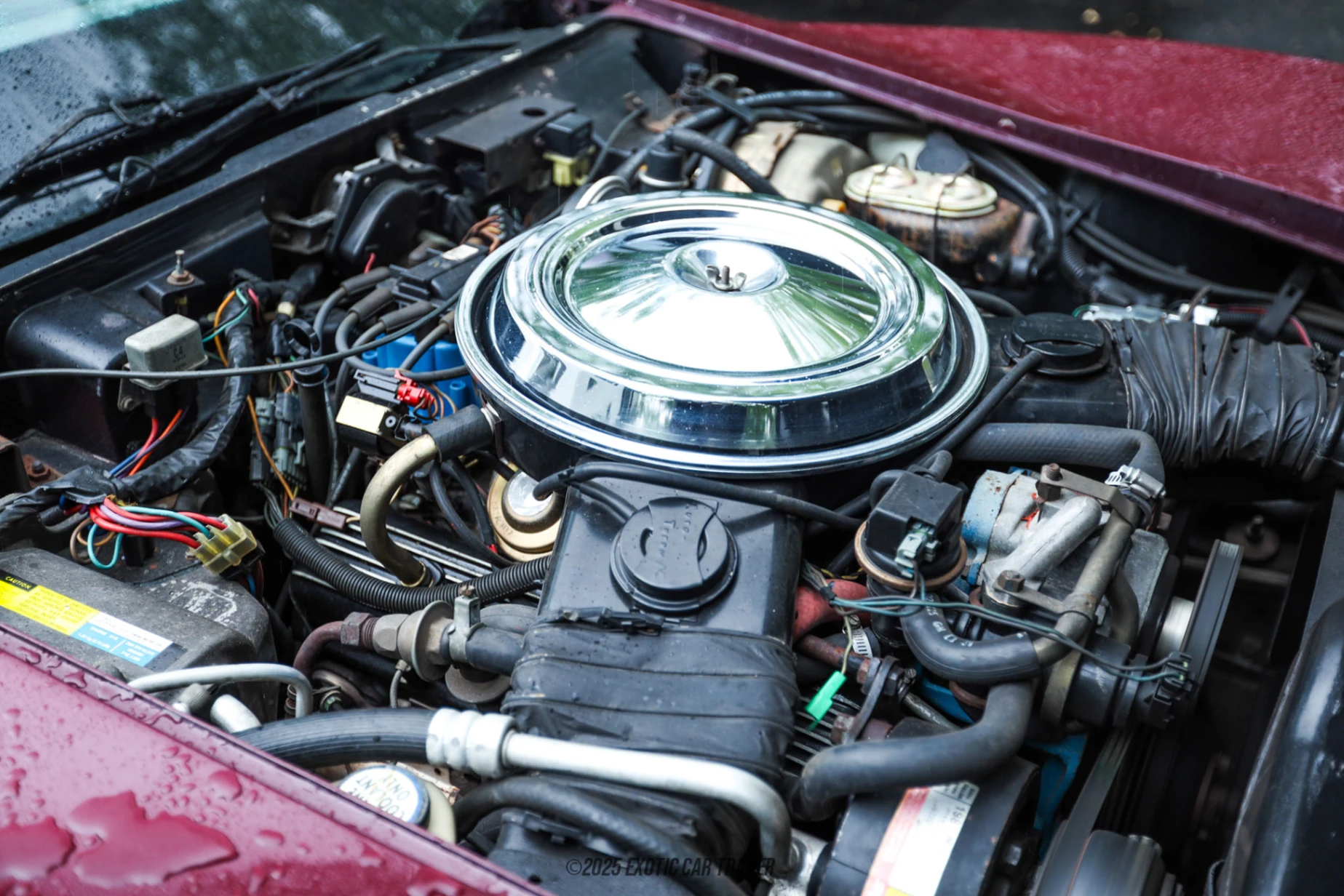1981 Chevrolet Corvette - Engine Photo