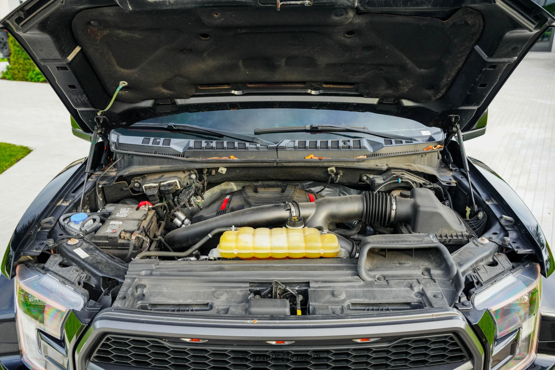 2019 Ford F-150 - Engine Photo