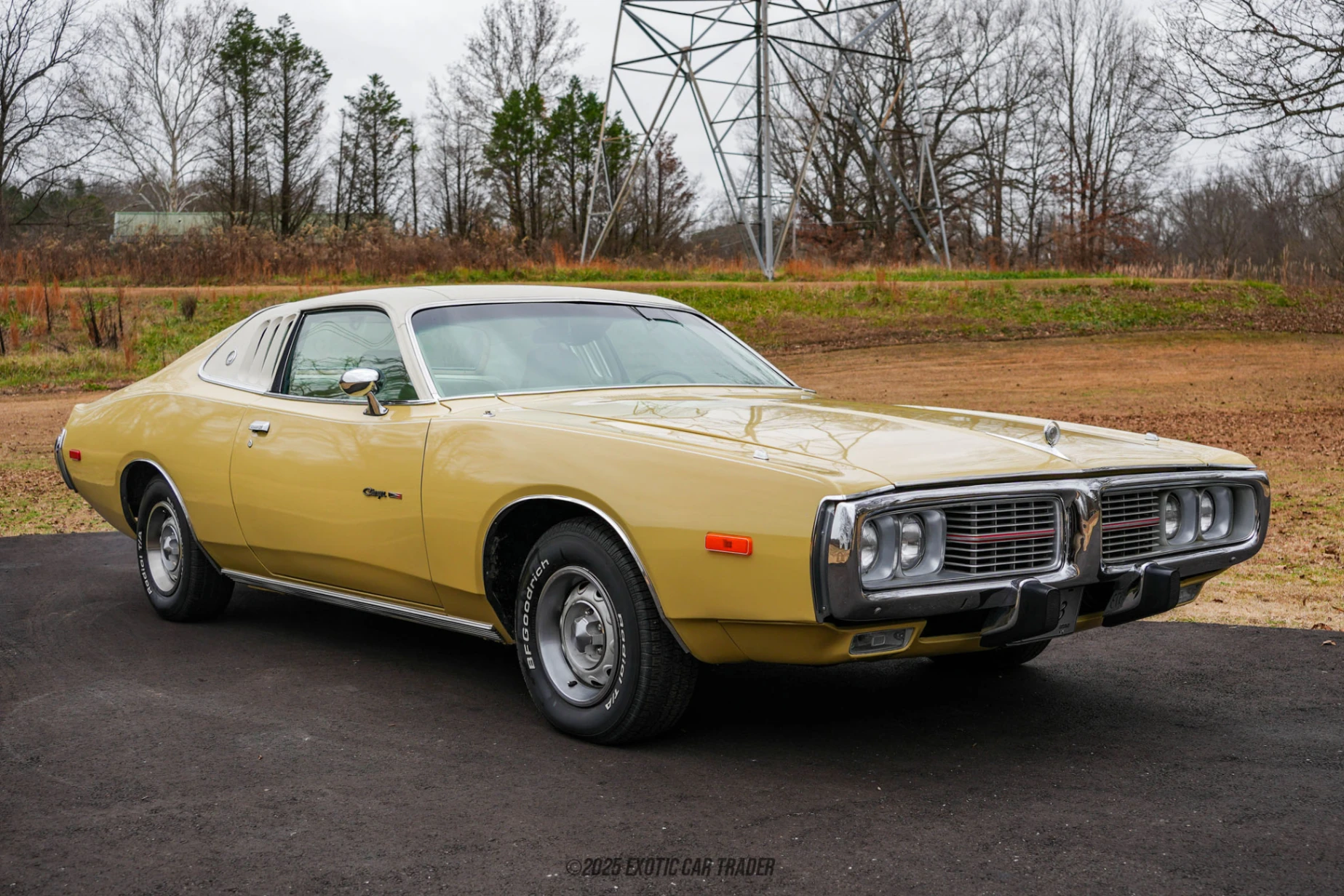 1973 Dodge Charger - Overview Photo