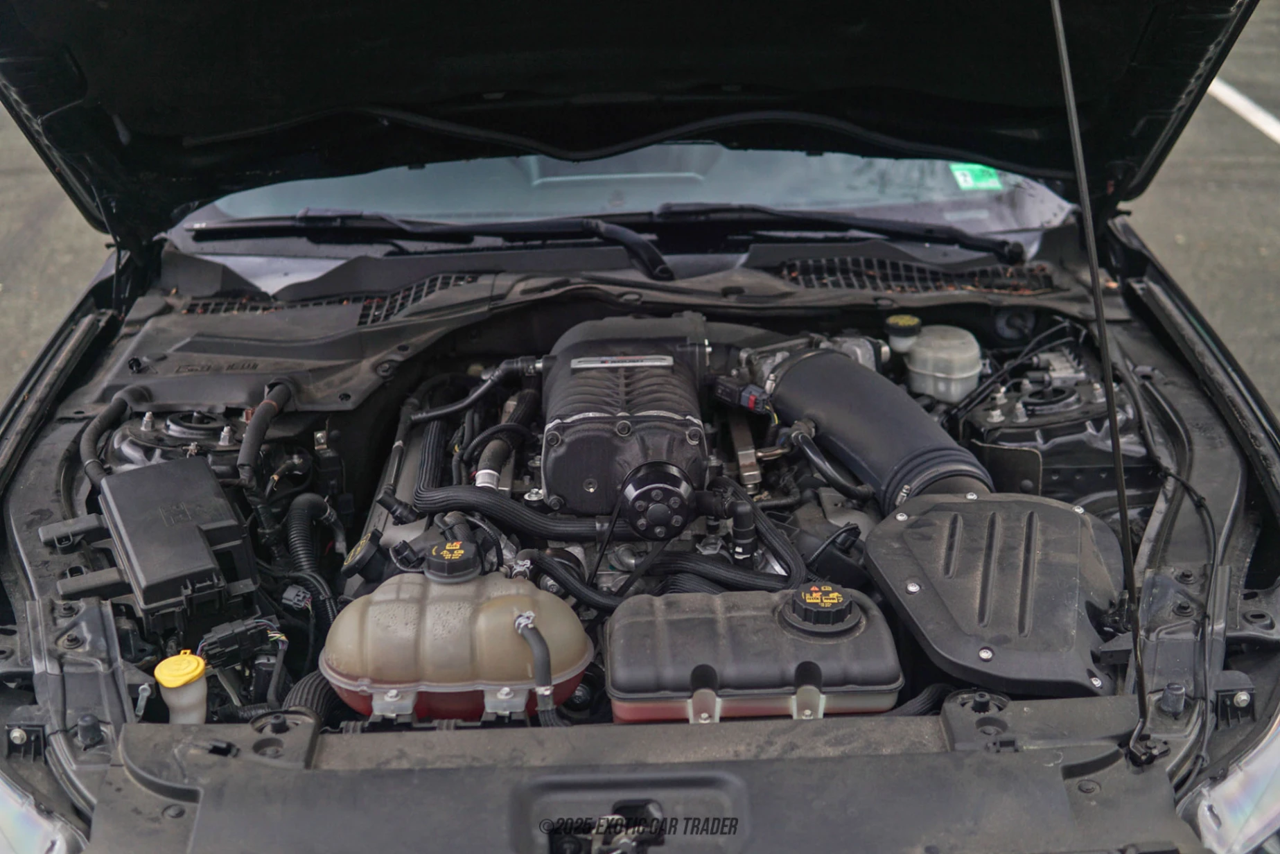 2017 Ford Mustang - Engine Photo