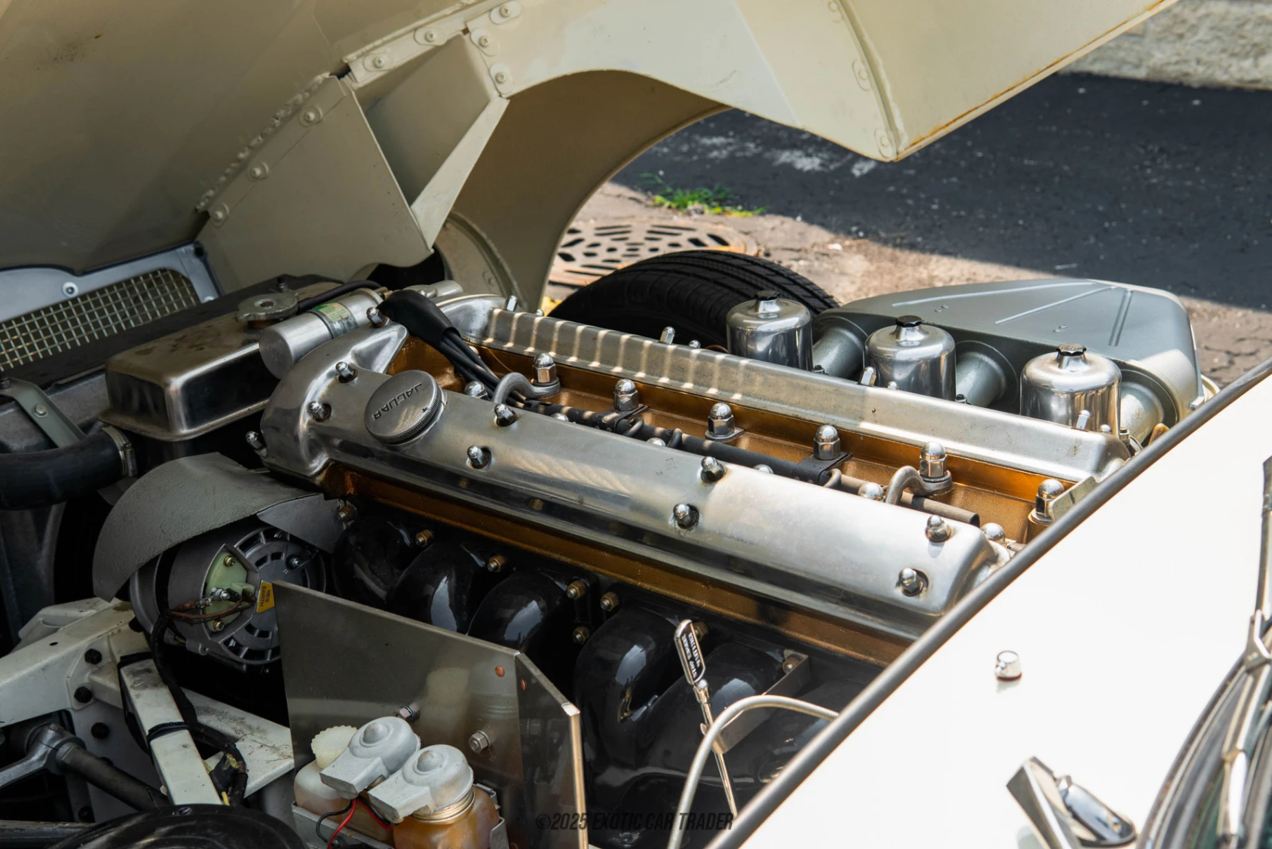 1967 Jaguar XKE - Engine Photo