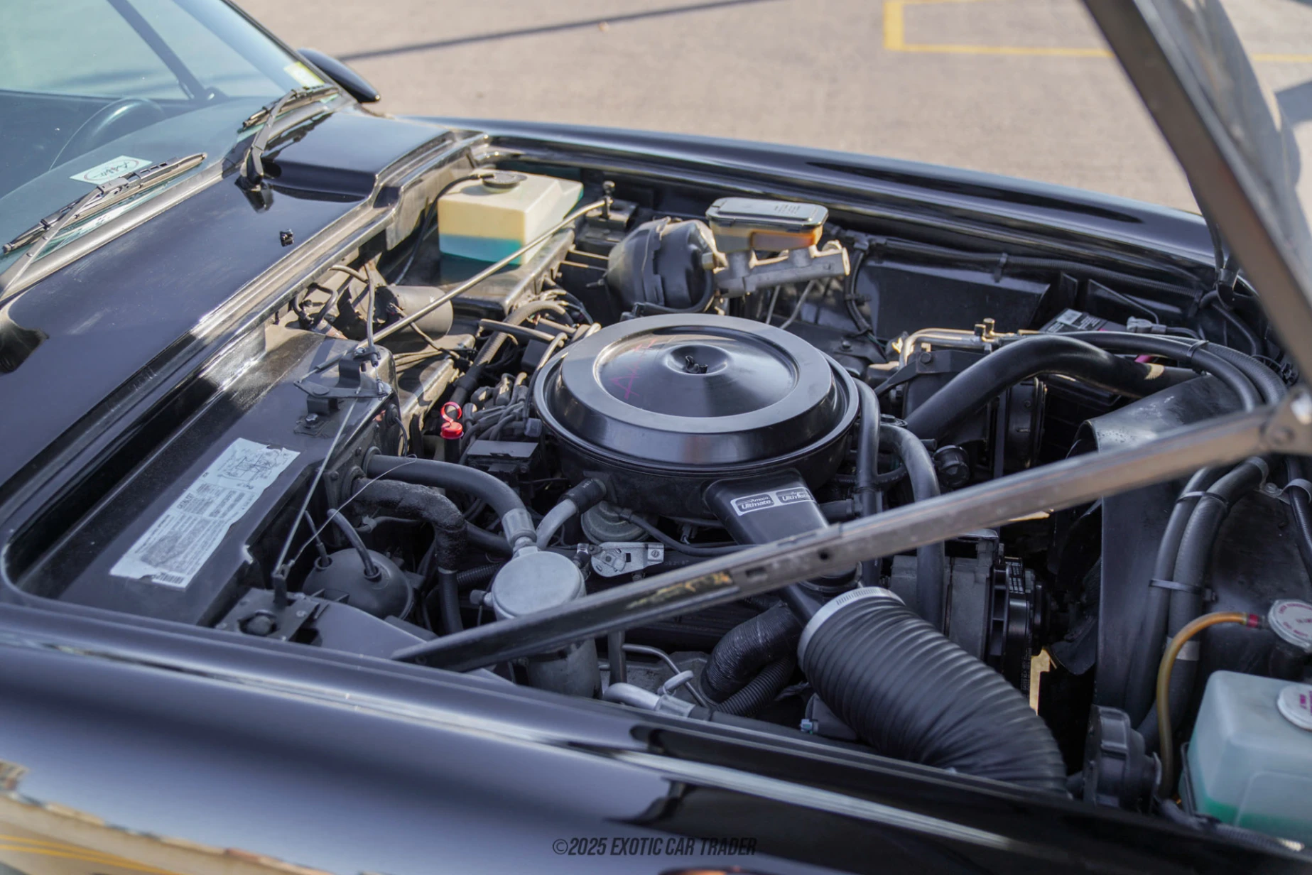 1988 Avanti II - Engine Photo