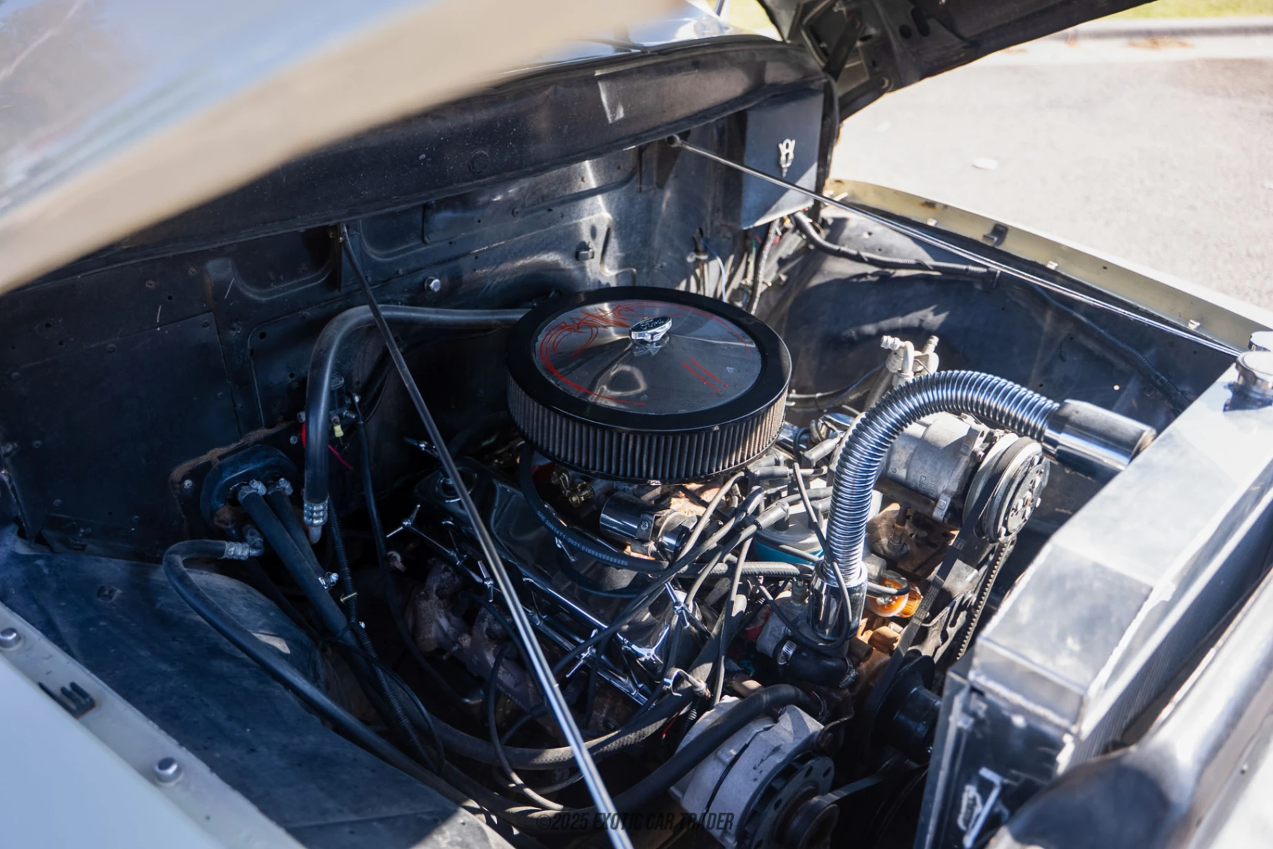 1955 Ford F-100 - Engine Photo