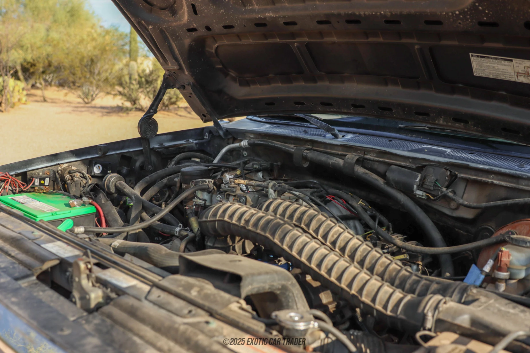 1994 Ford Bronco - Engine Photo