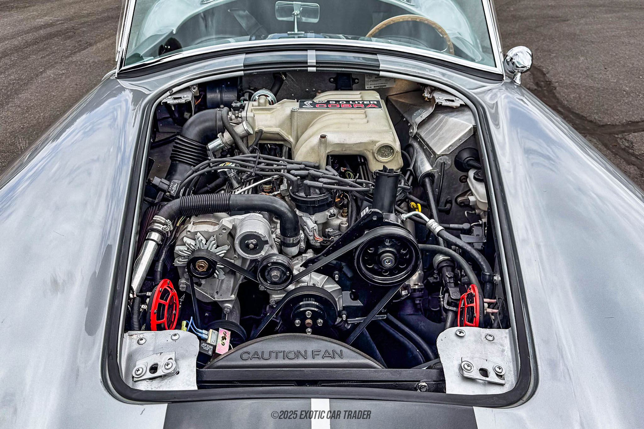 1965 Shelby Cobra - Engine Photo