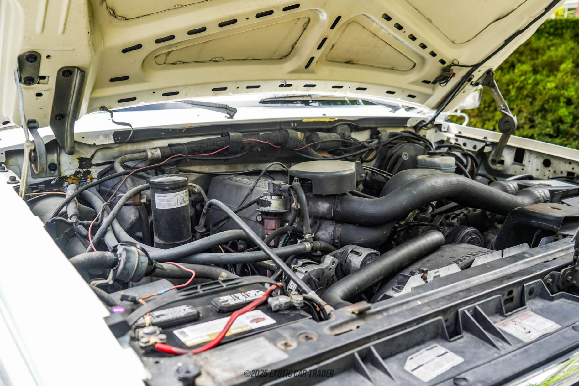 1989 Ford Bronco - Engine Photo