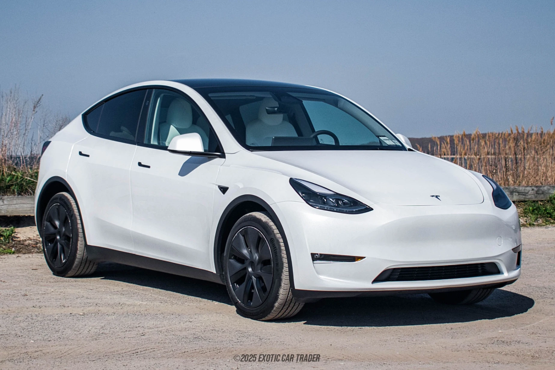 2025 Tesla Model Y - Overview Photo