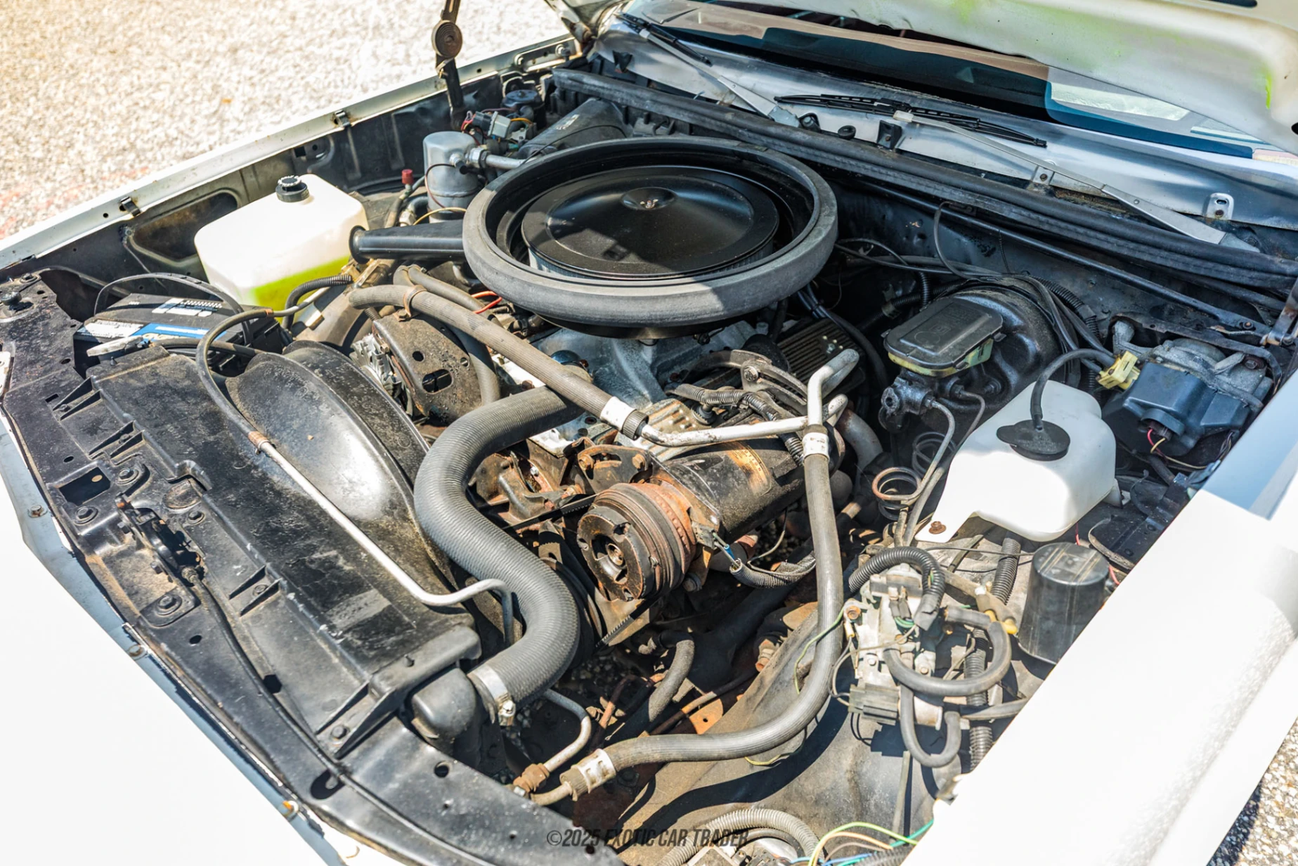 1979 Chevrolet El Camino - Engine Photo