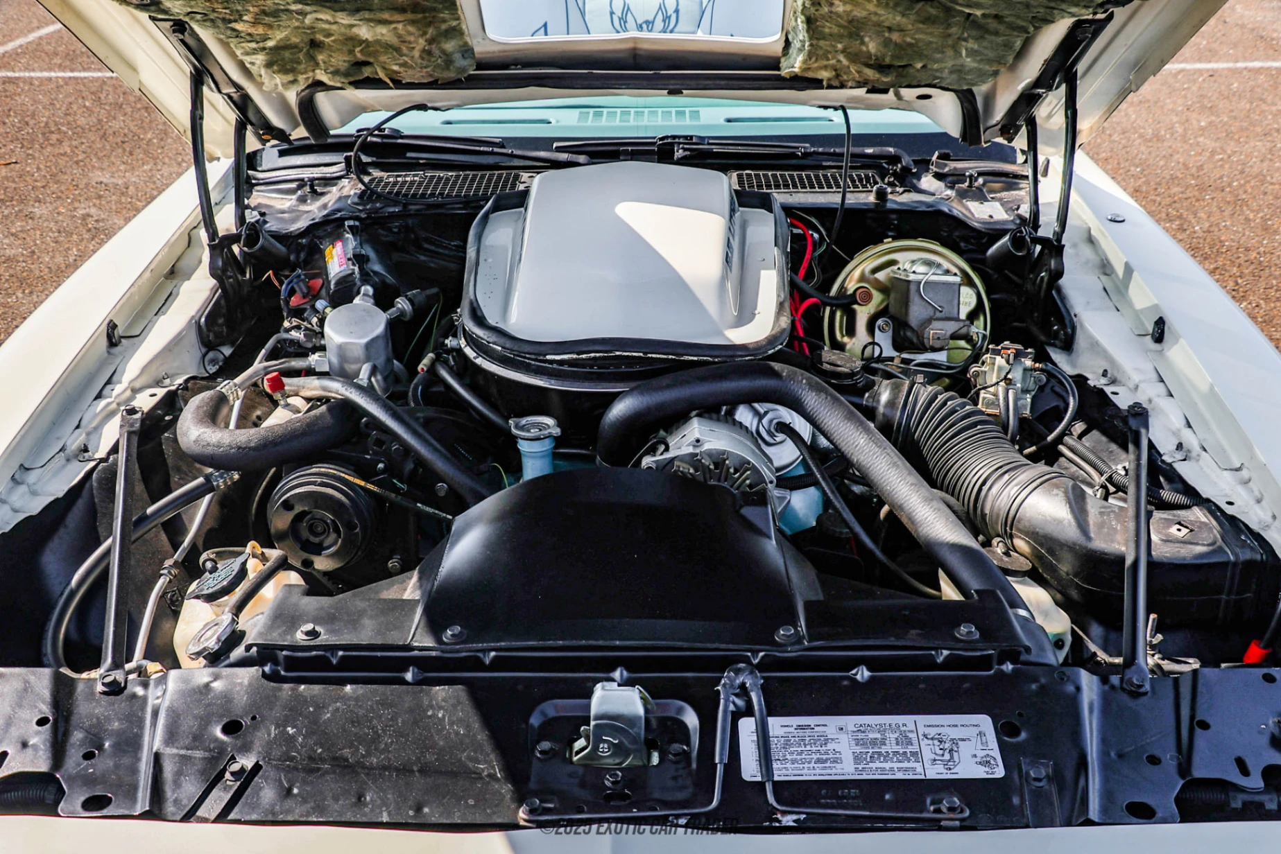 1979 Pontiac Firebird - Engine Photo