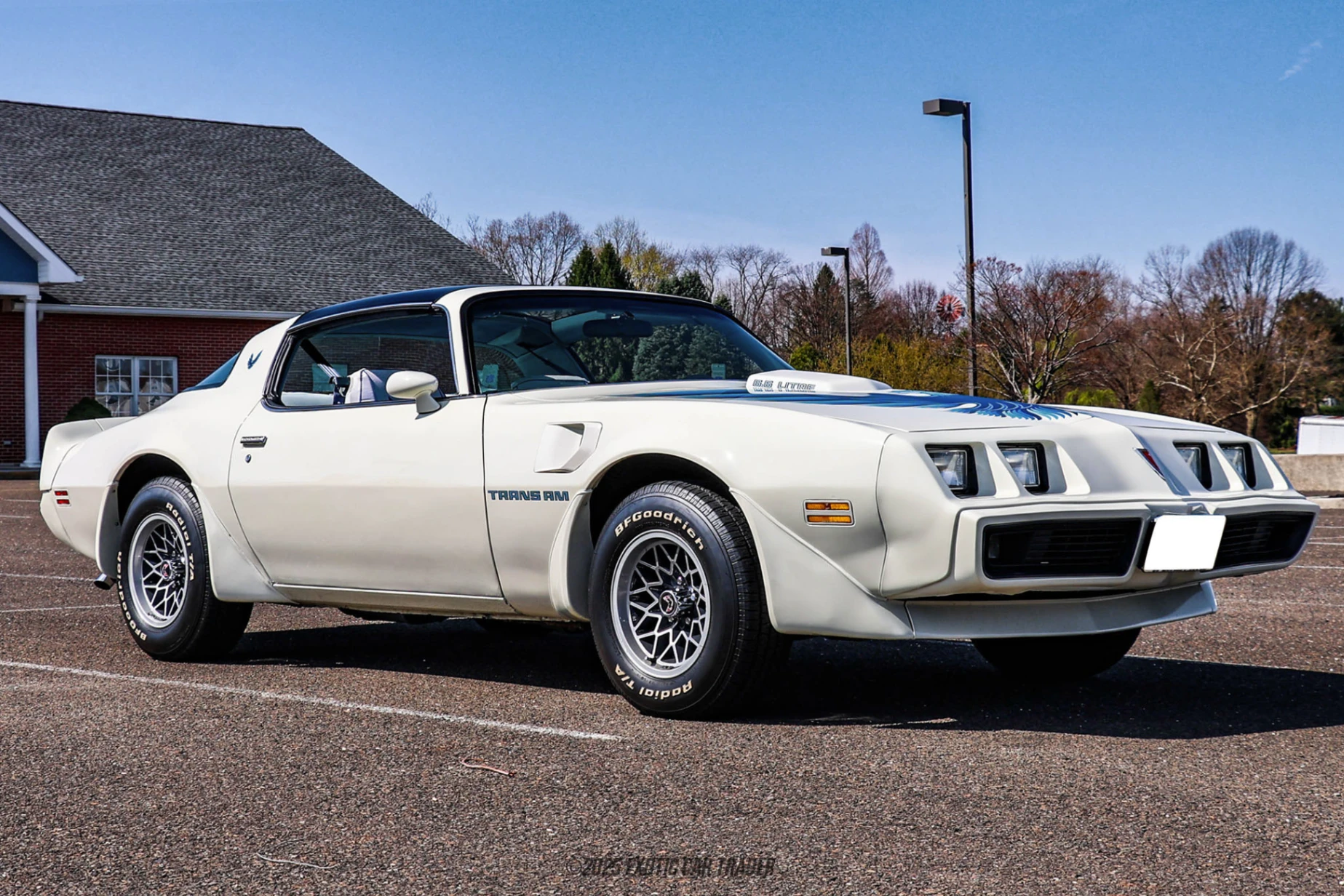 1979 Pontiac Firebird - Overview Photo