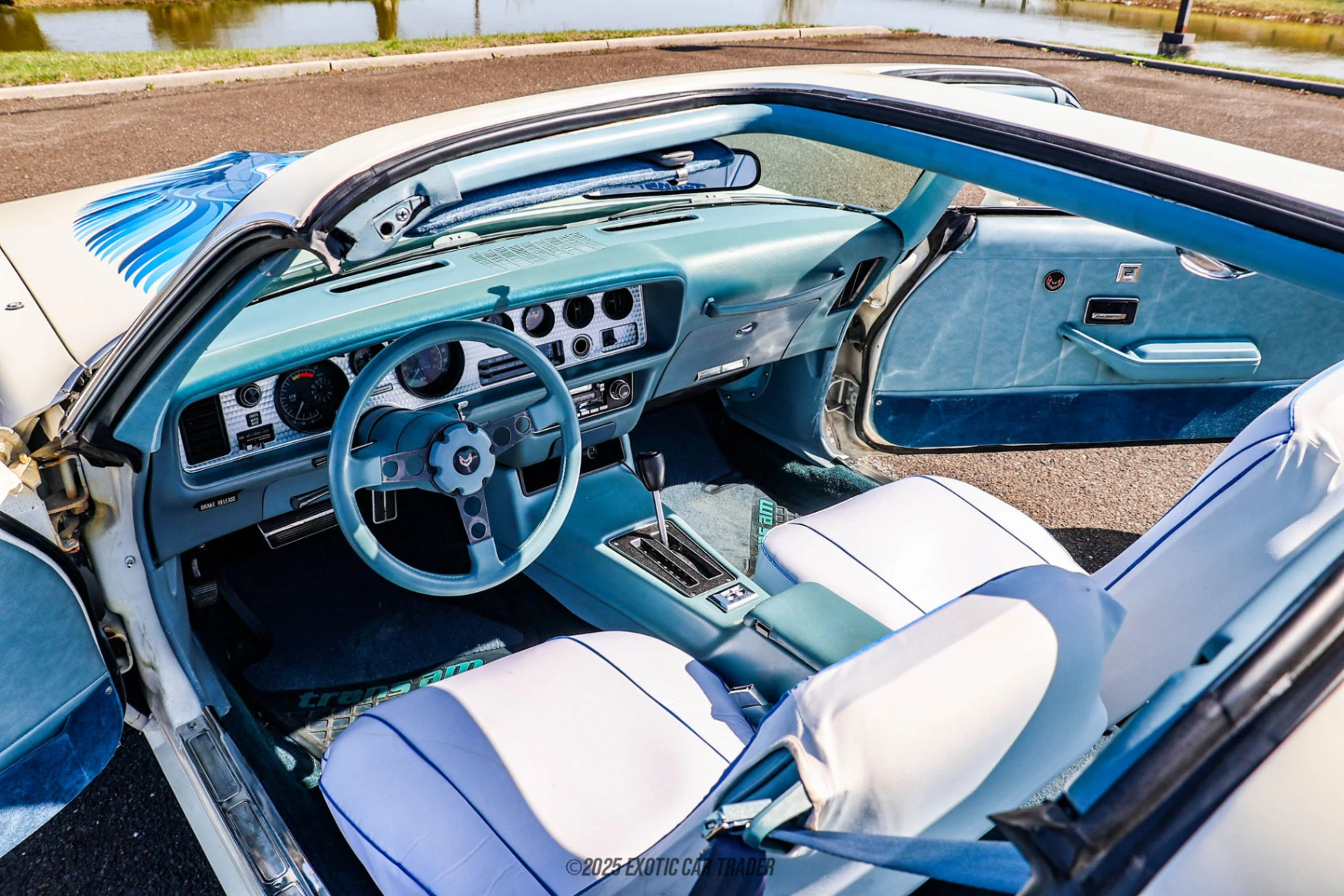1979 Pontiac Firebird - Interior Photo
