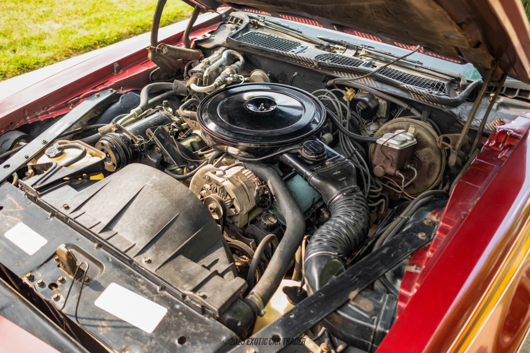 1973 Pontiac Firebird - Engine Photo