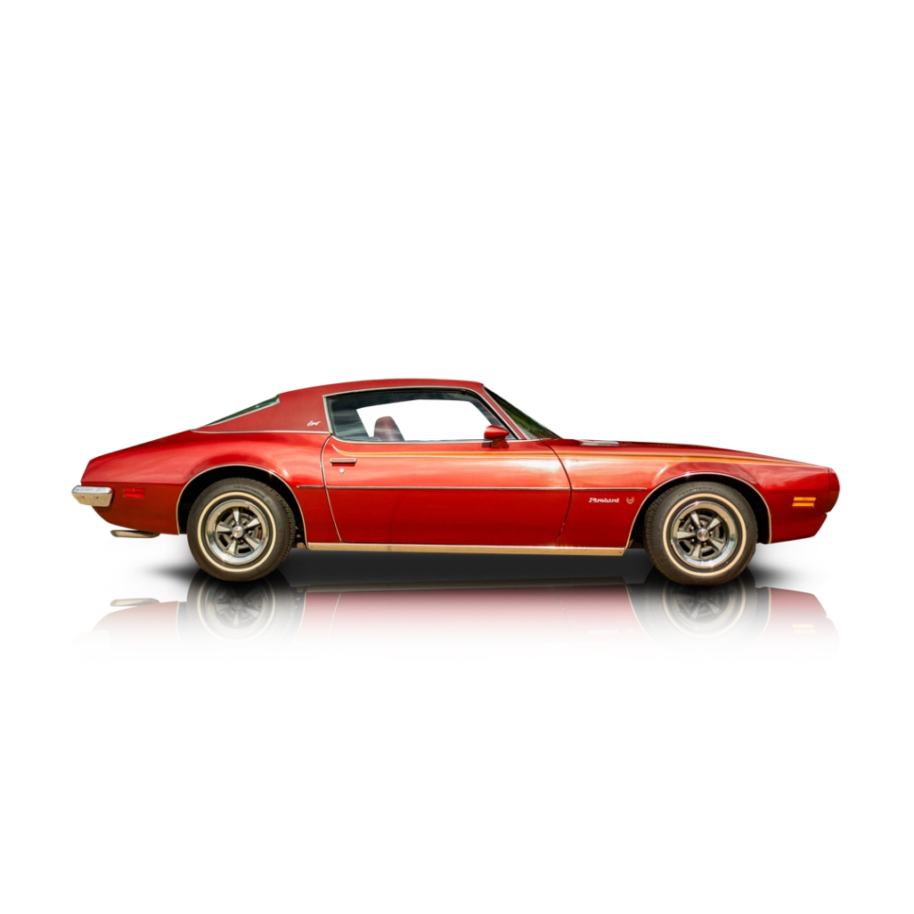 1973 Pontiac Firebird - Passenger side