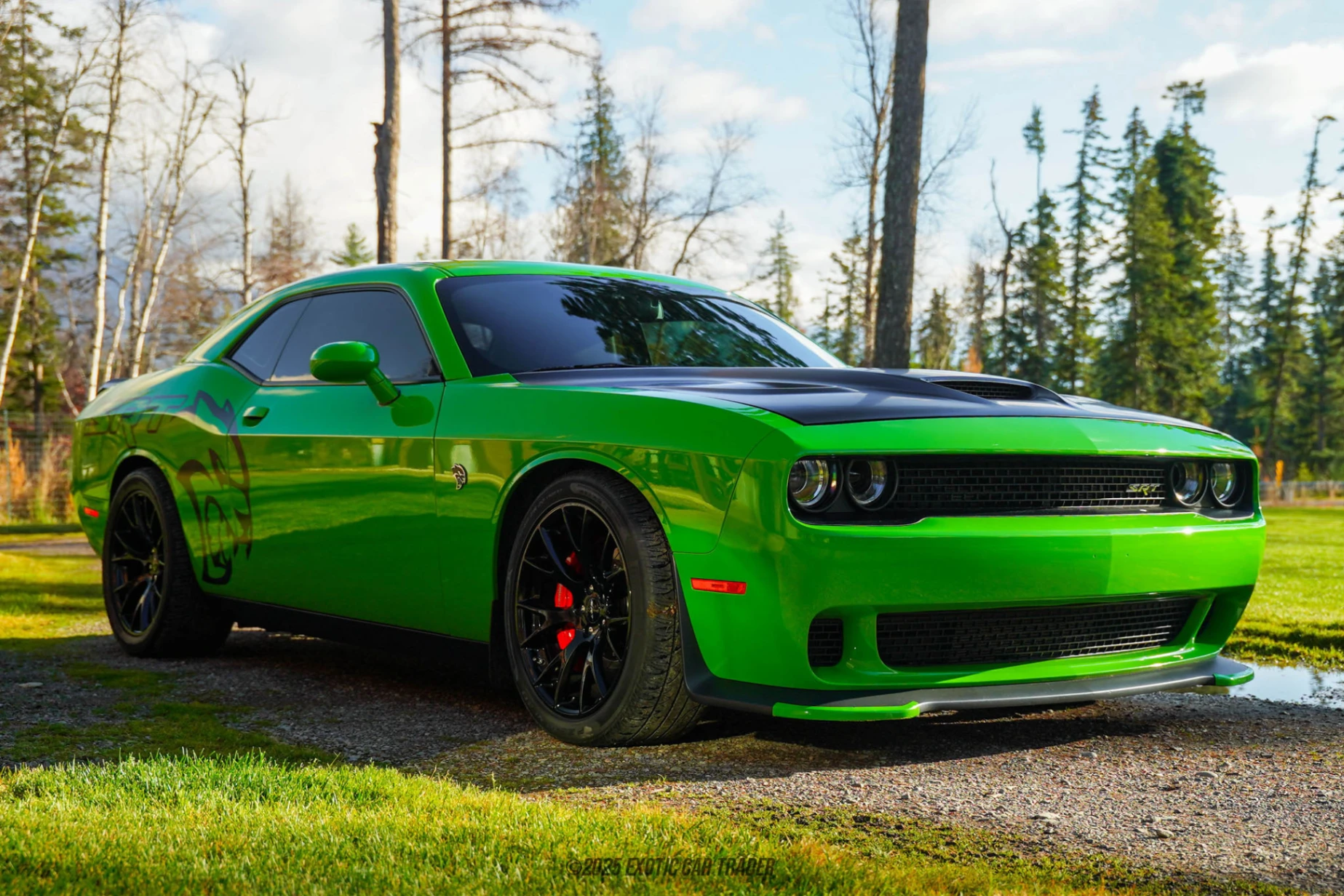 2017 Dodge Challenger - Overview Photo
