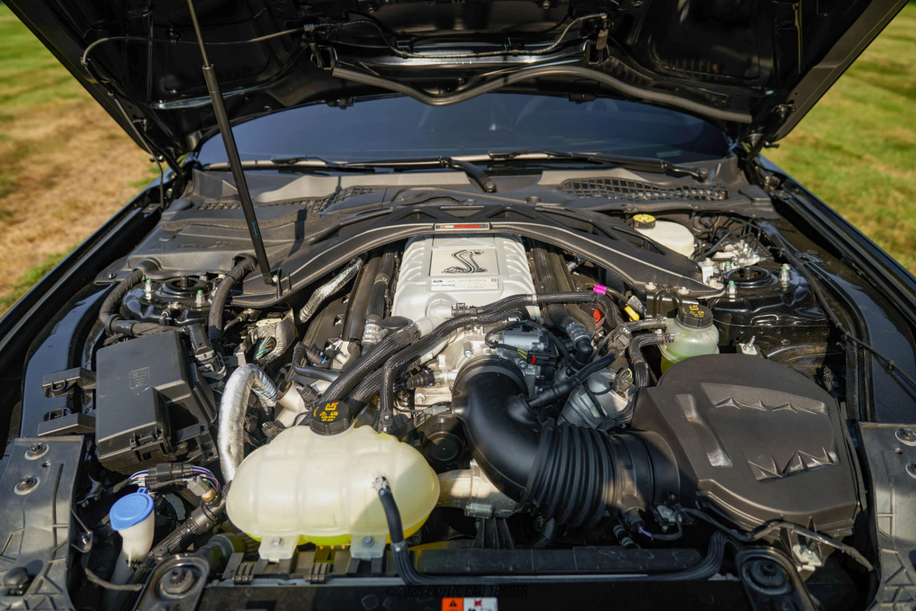 2022 Ford Mustang - Engine Photo