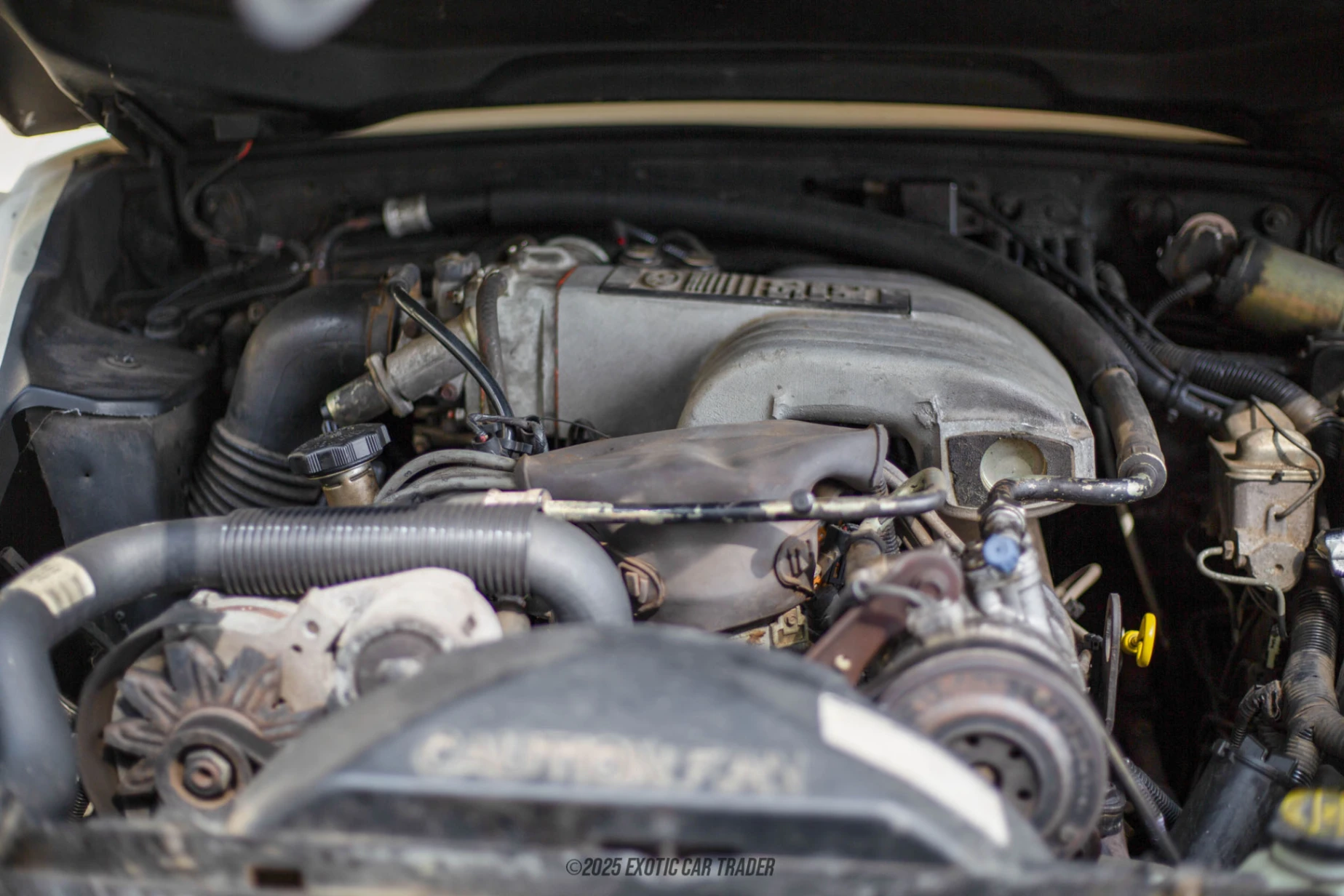1986 Zimmer Golden Spirit - Engine Photo
