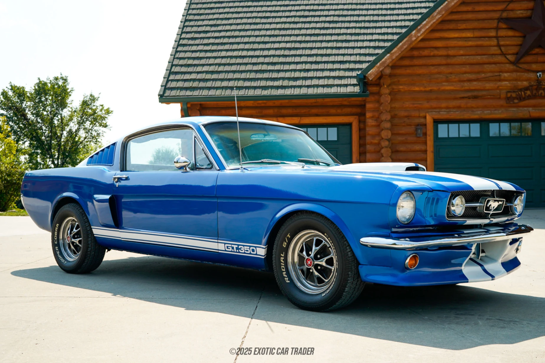 1965 Ford Mustang - Overview Photo