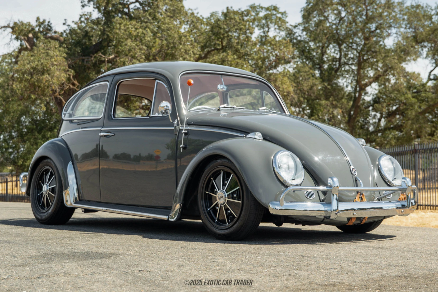 1964 Volkswagen Beetle - Overview Photo