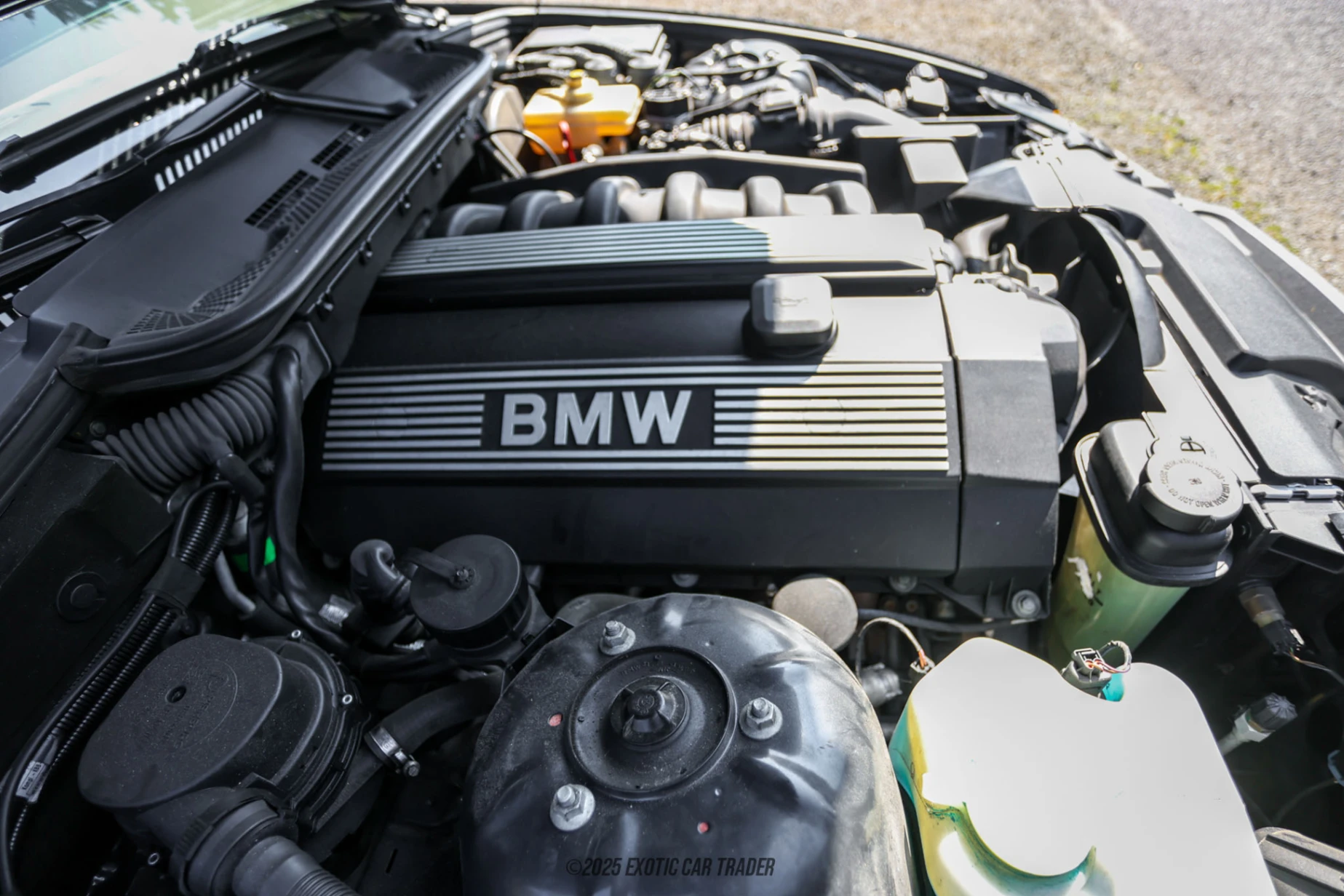 1999 BMW 323i - Engine Photo