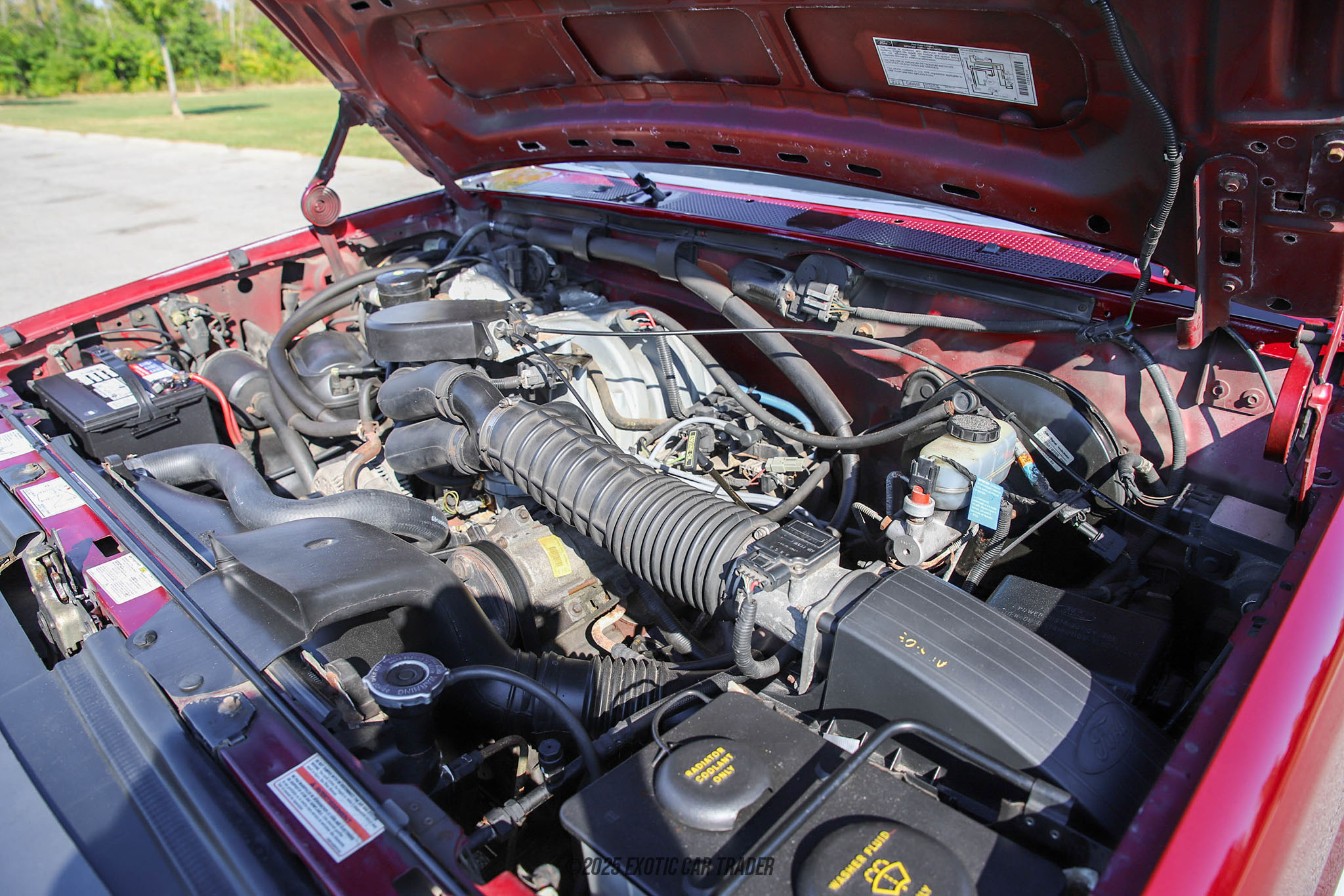 1996 Ford F-150 - Engine Photo