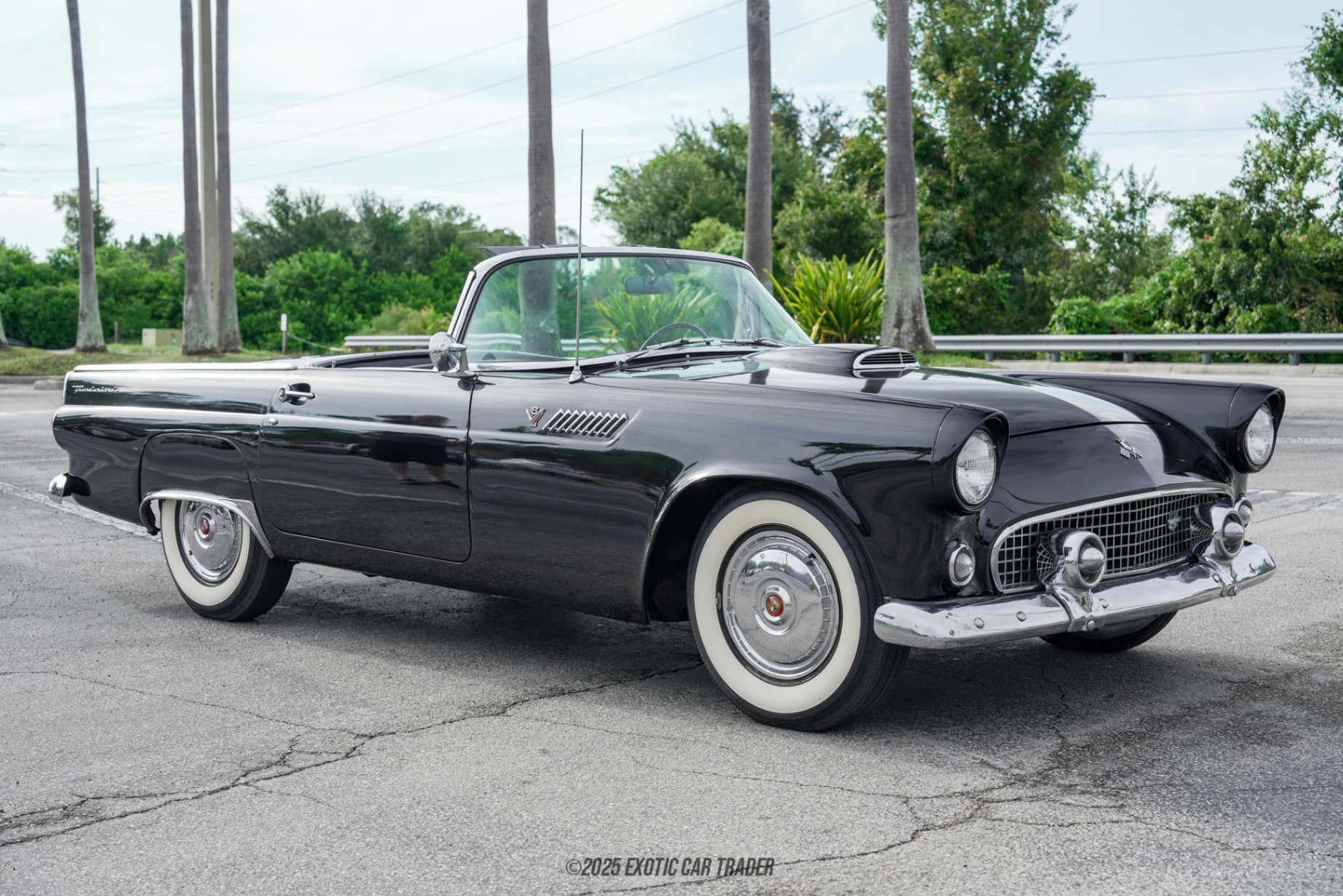 1955 Ford Thunderbird - Overview Photo