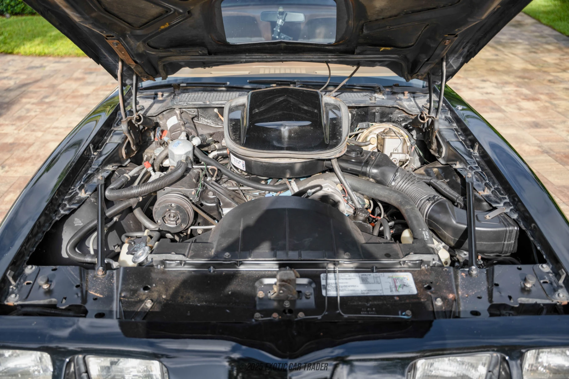 1979 Pontiac Firebird - Engine Photo