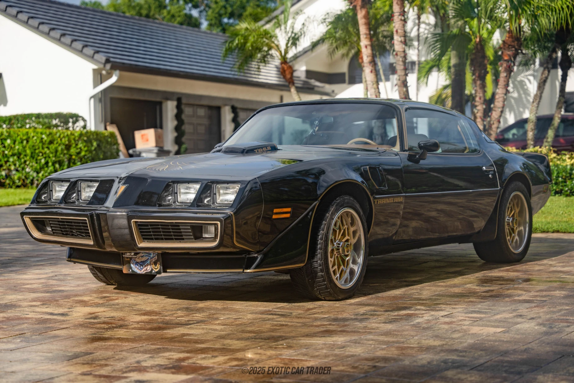 1979 Pontiac Firebird Trans Am Y84 Special Edition for Sale