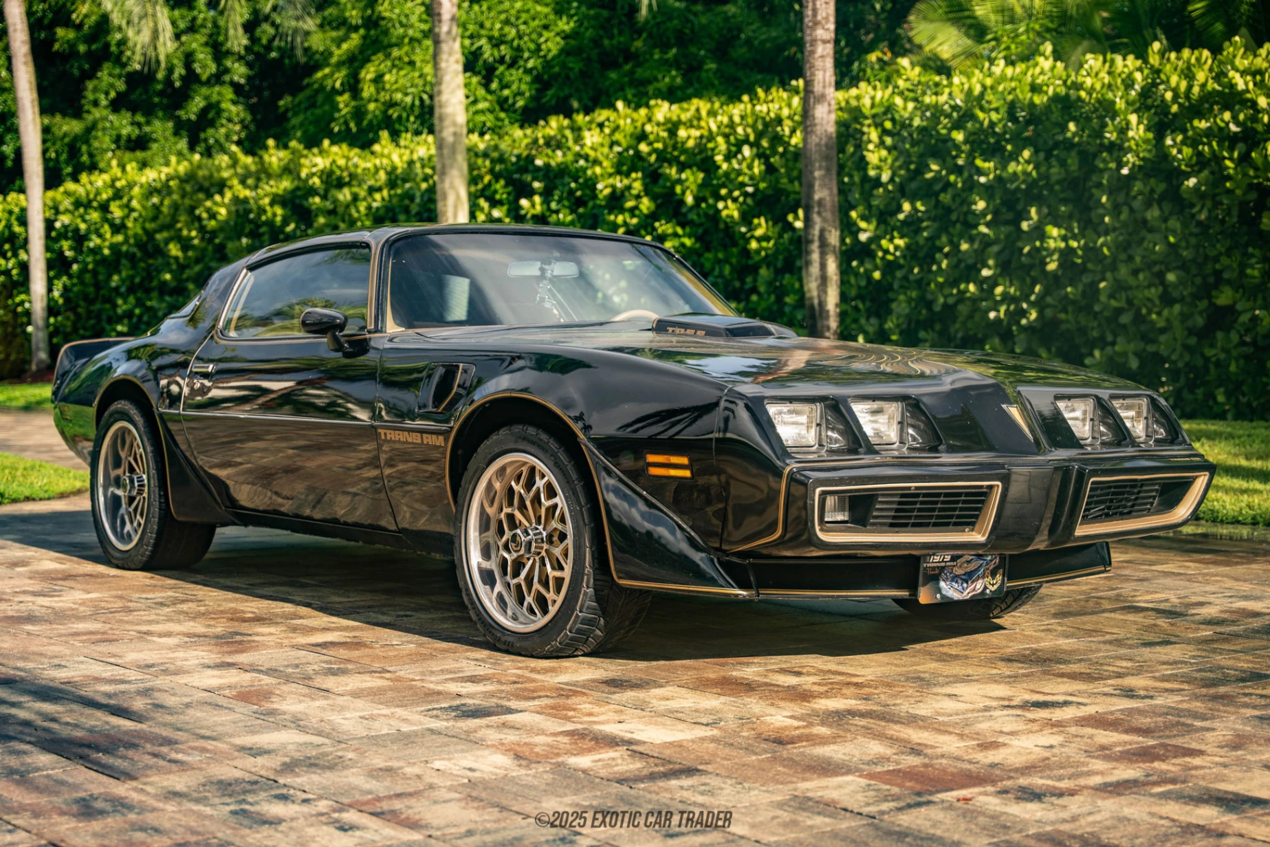 1979 Pontiac Firebird - Overview Photo
