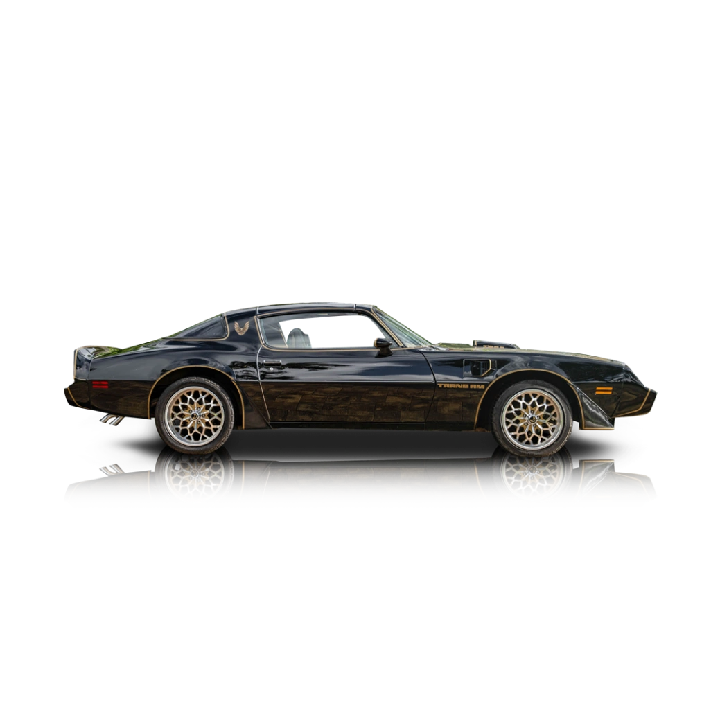 1979 Pontiac Firebird - Passenger side