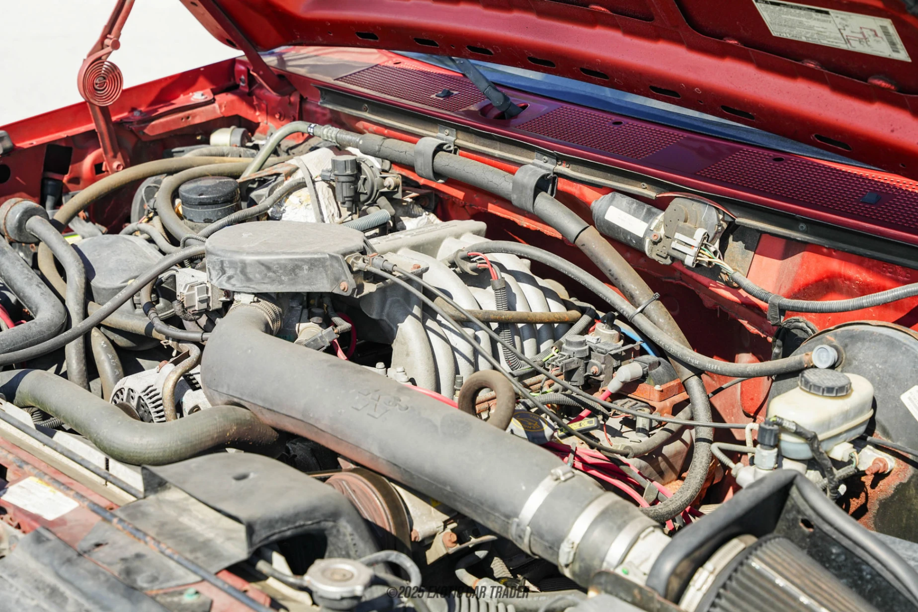 1995 Ford Bronco - Engine Photo