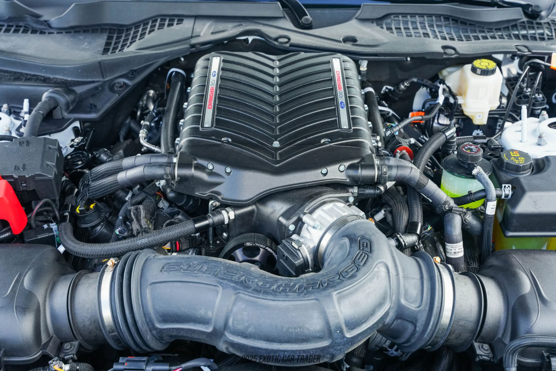 2025 Ford Mustang - Engine Photo
