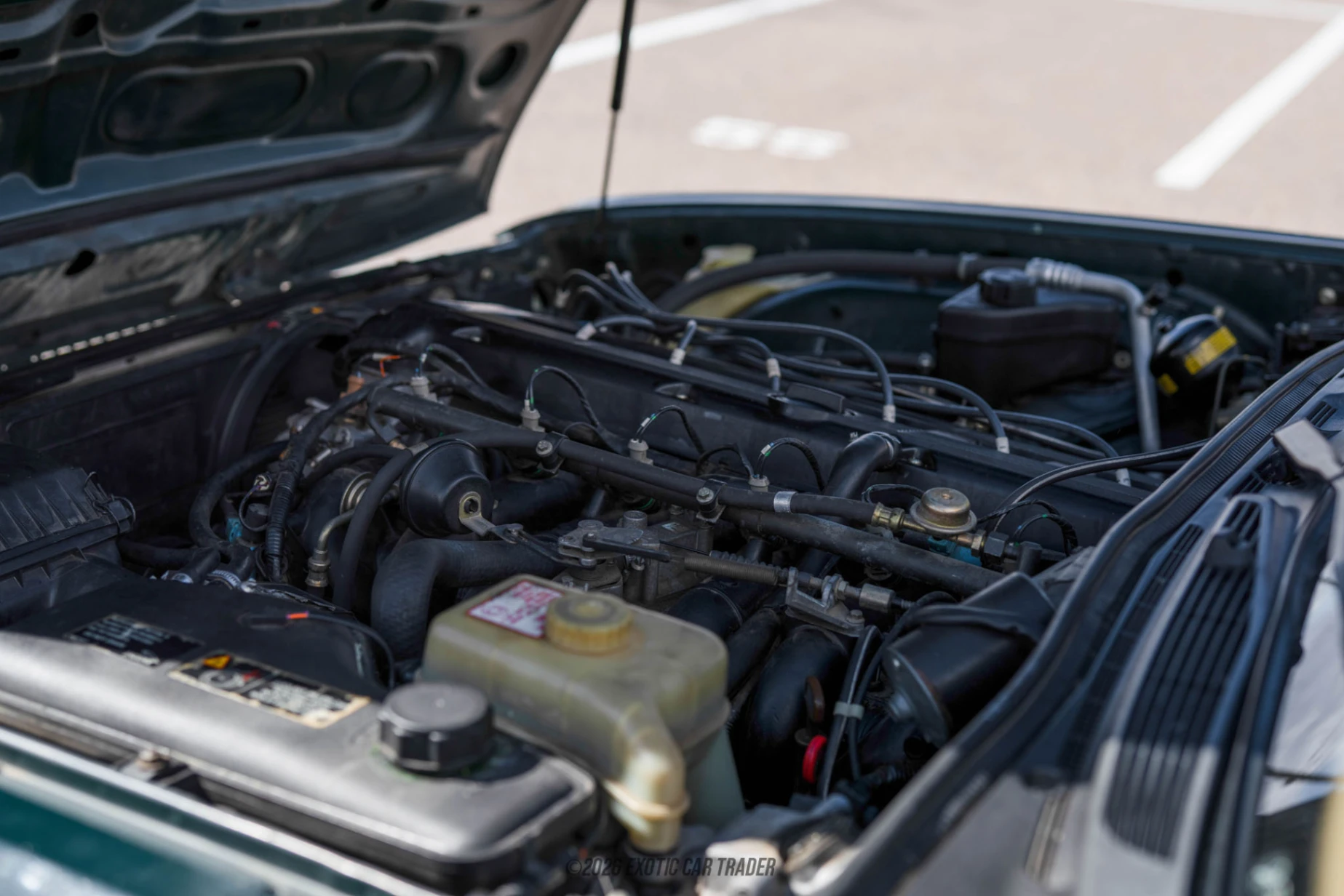 1994 Jaguar XJ6 - Engine Photo