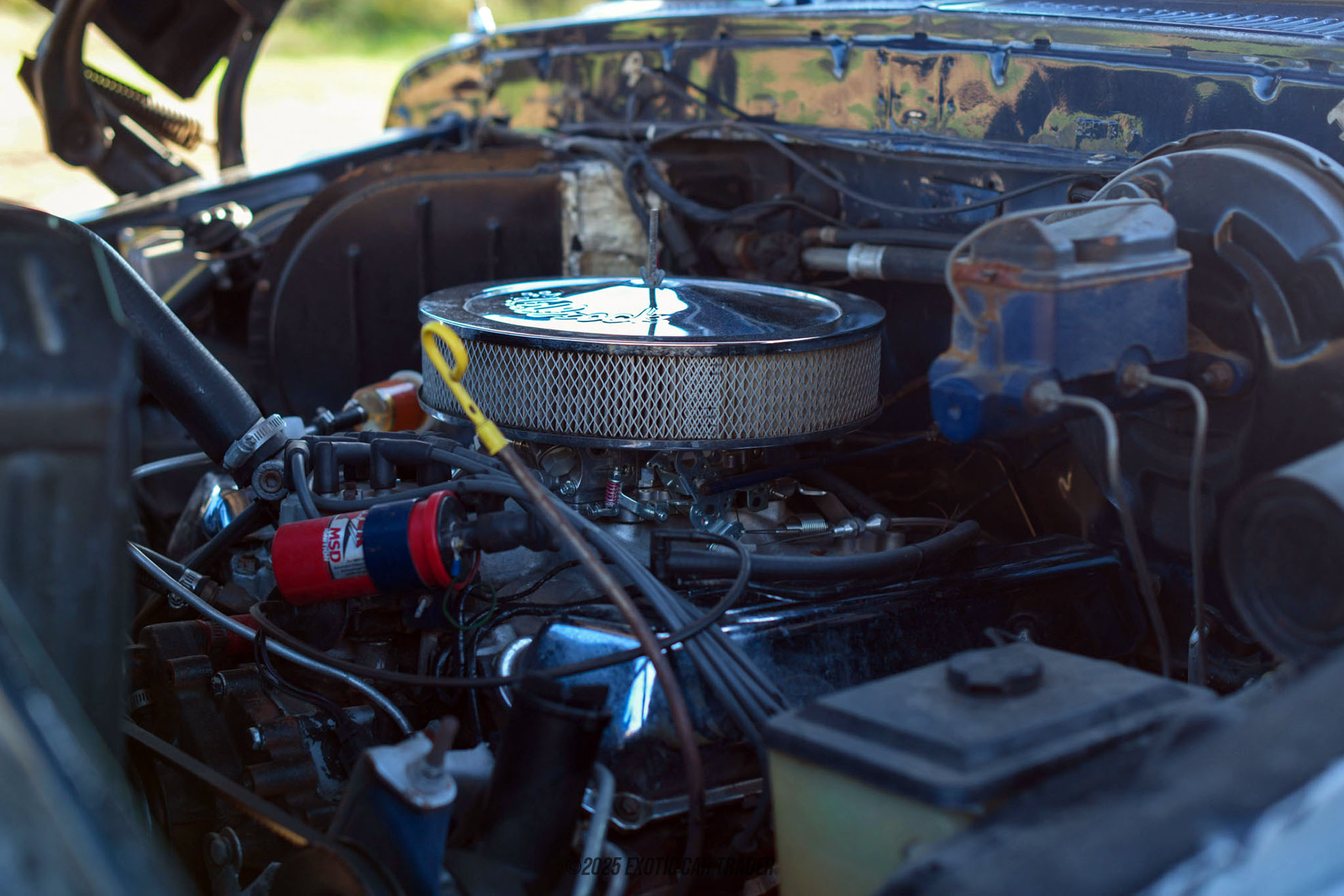 1978 Ford F-250 - Engine Photo