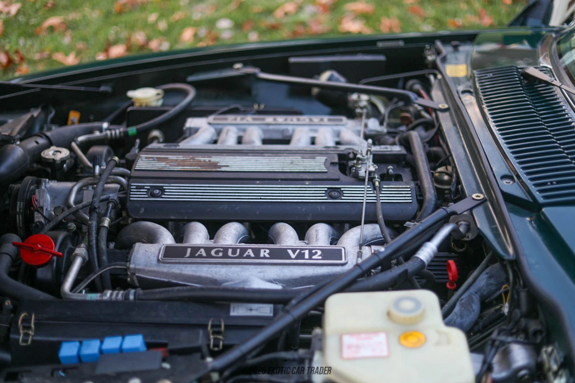 1994 Jaguar XJS - Engine Photo