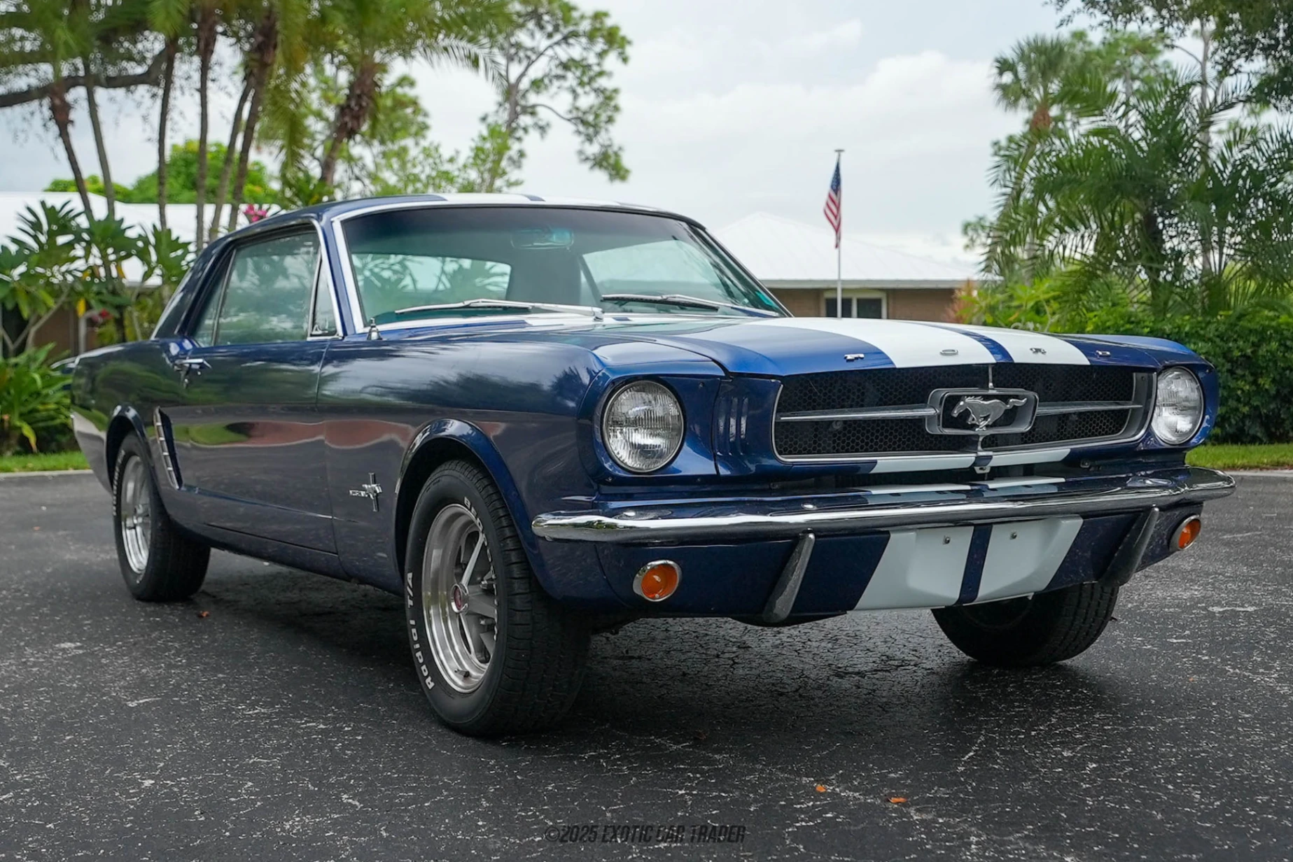 1965 Ford Mustang - Overview Photo