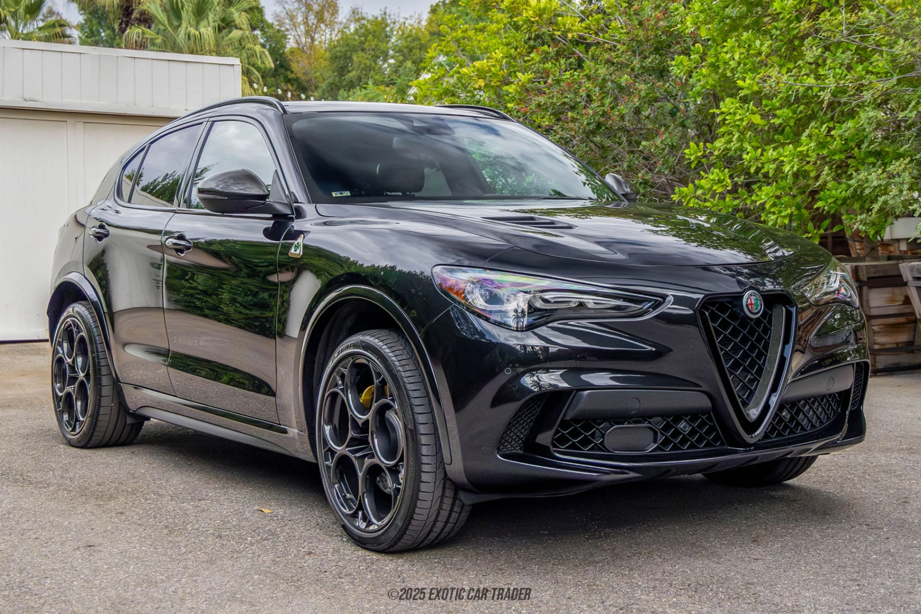 2024 Alfa Romeo Stelvio Quadrifoglio 100th Anniversary for Sale