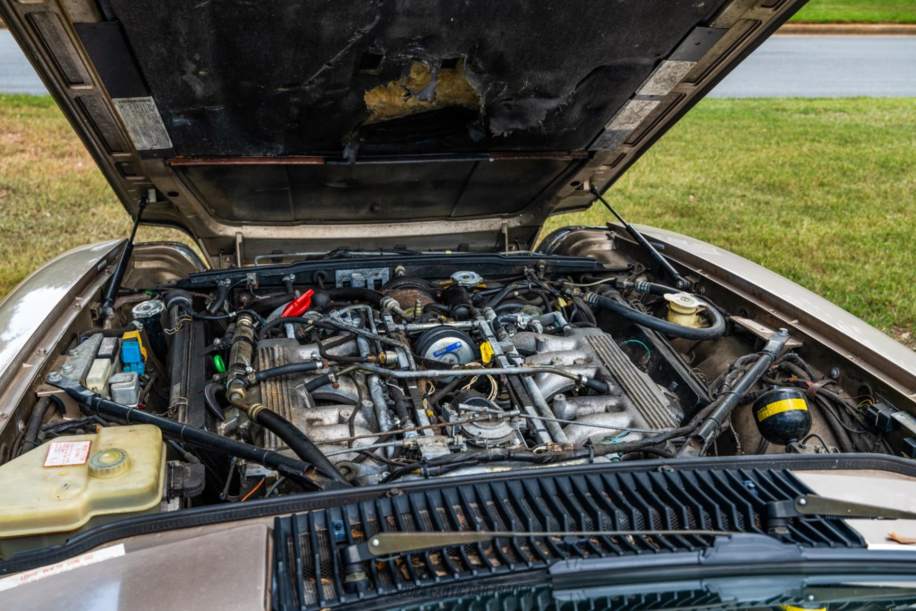 1991 Jaguar XJS - Engine Photo
