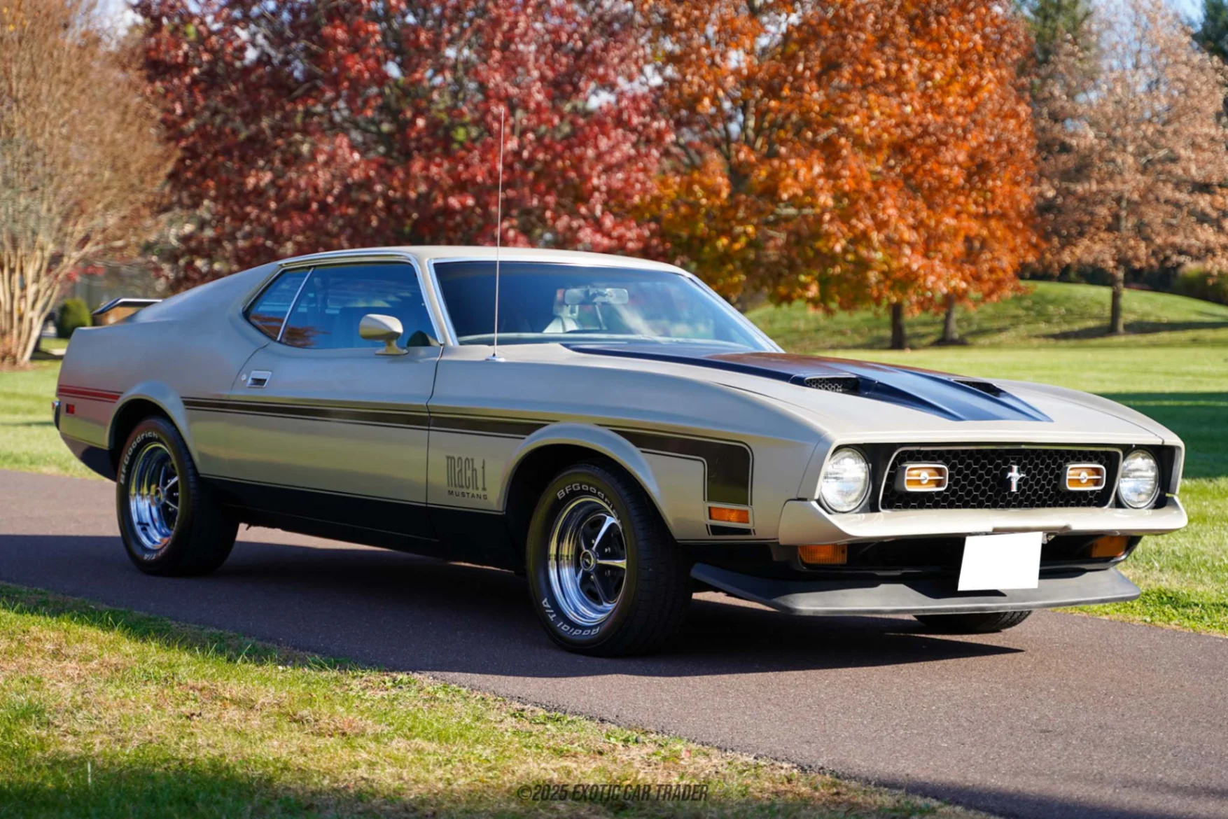 1972 Ford Mustang - Overview Photo