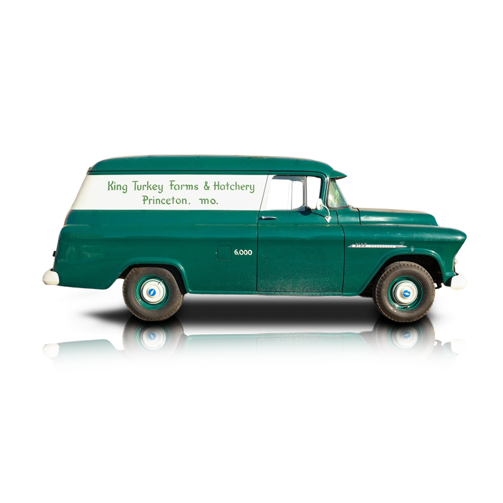1955 Chevrolet 3100 - Passenger side